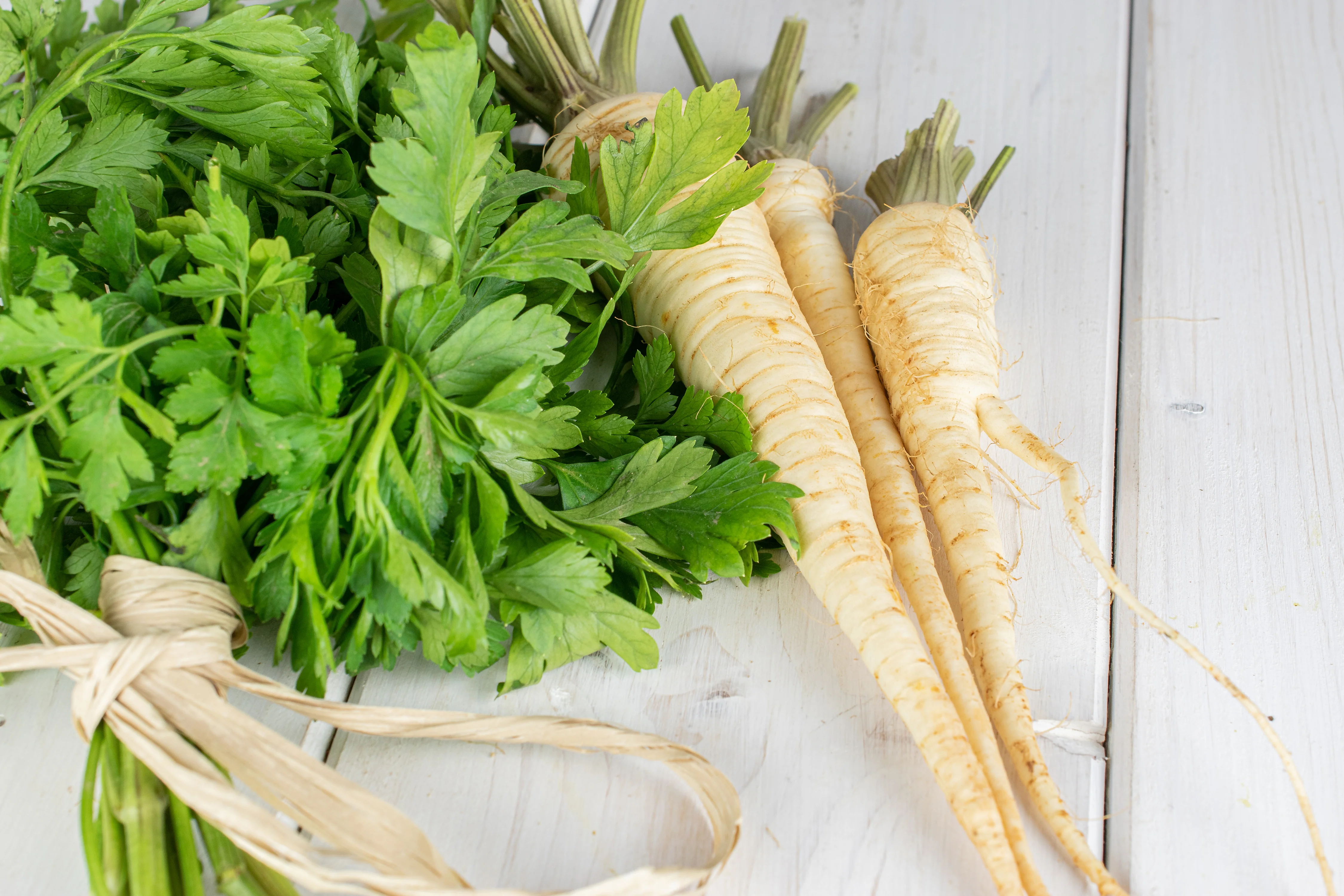 Hamburg Rooted Parsley Seeds