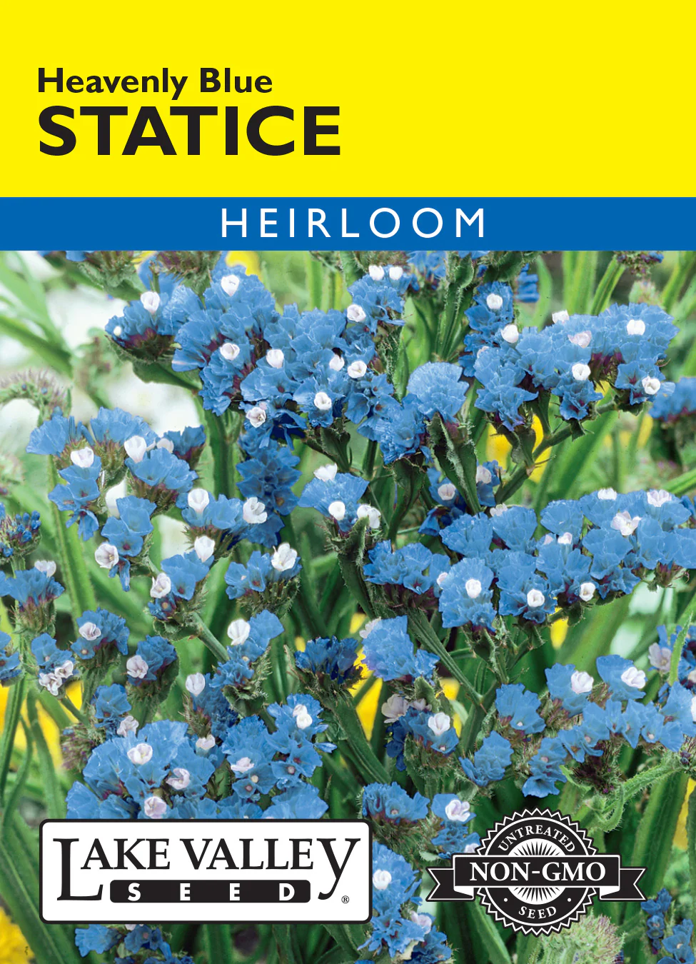 Heavenly Blue Statice