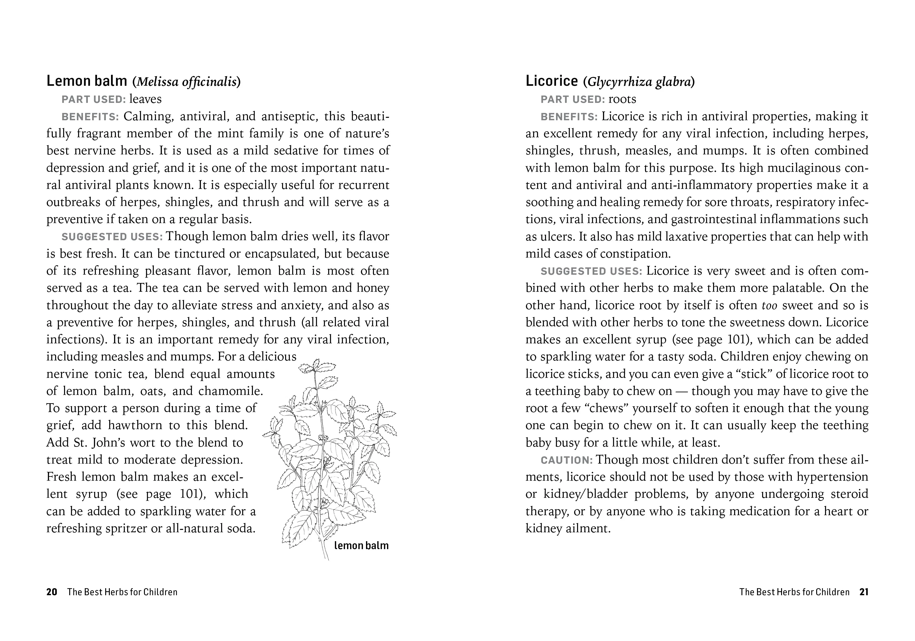 Herbs For Children's Health - Image 2