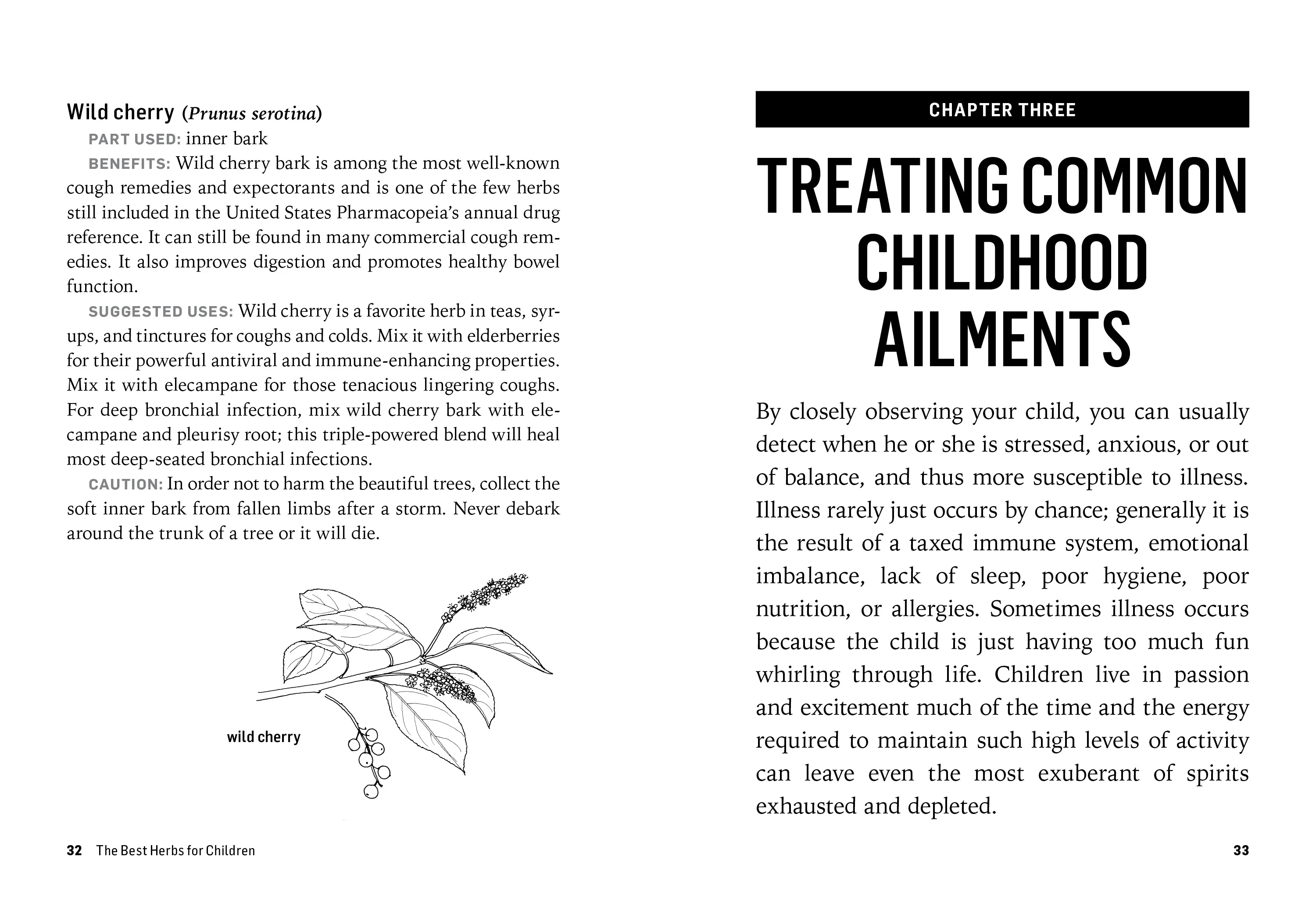 Herbs For Children's Health - Image 5