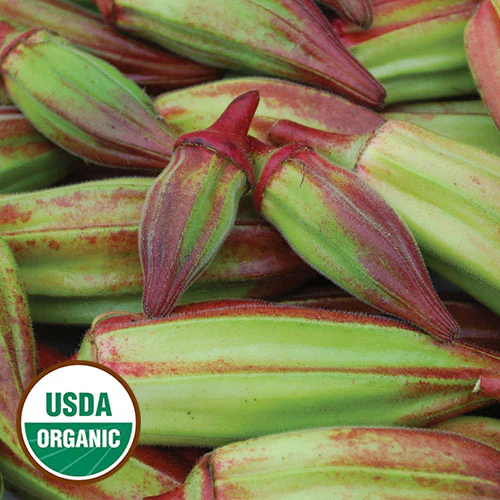 Hill Country Red Okra
