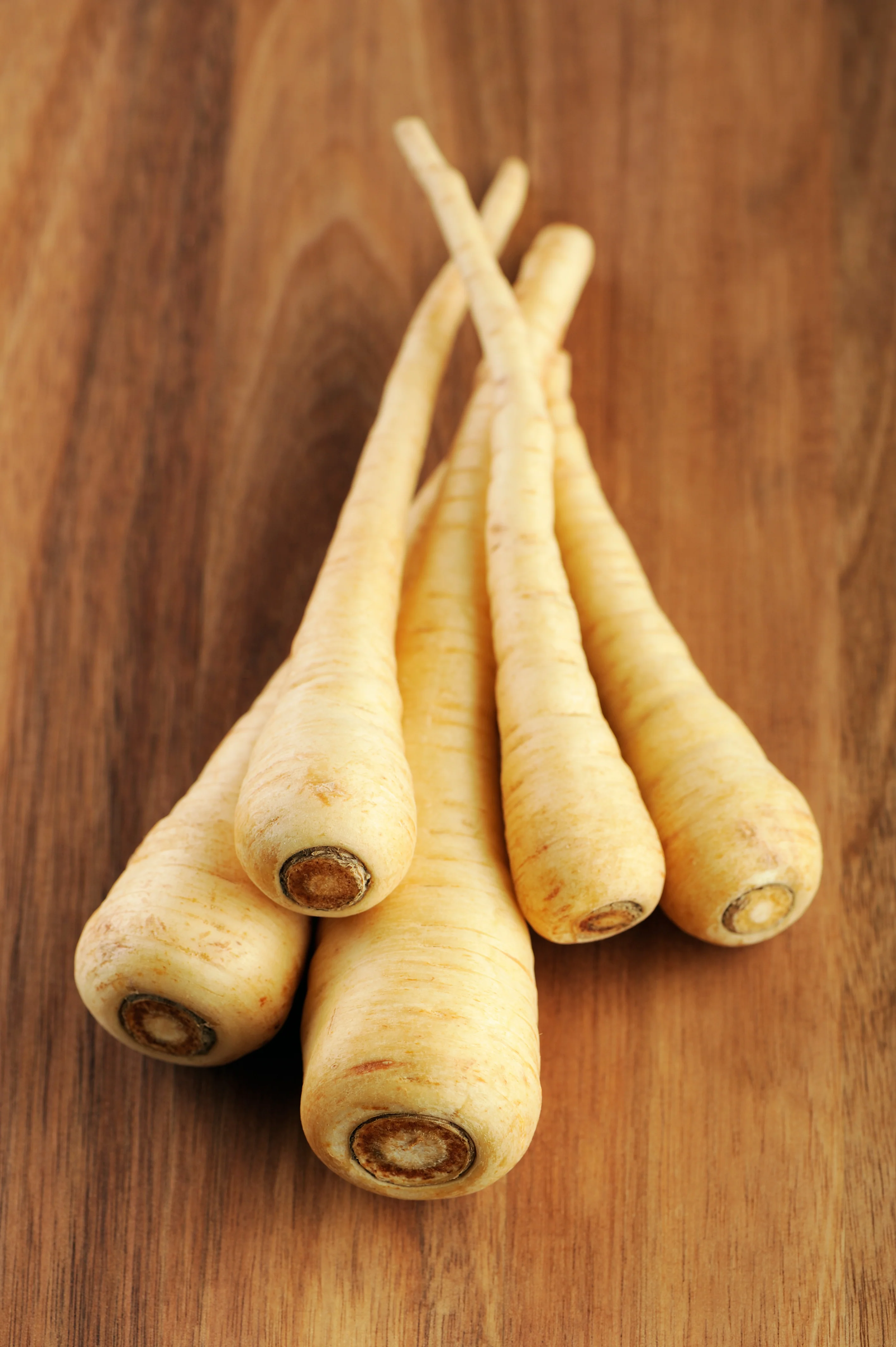 Hollow Crown Parsnip Seeds