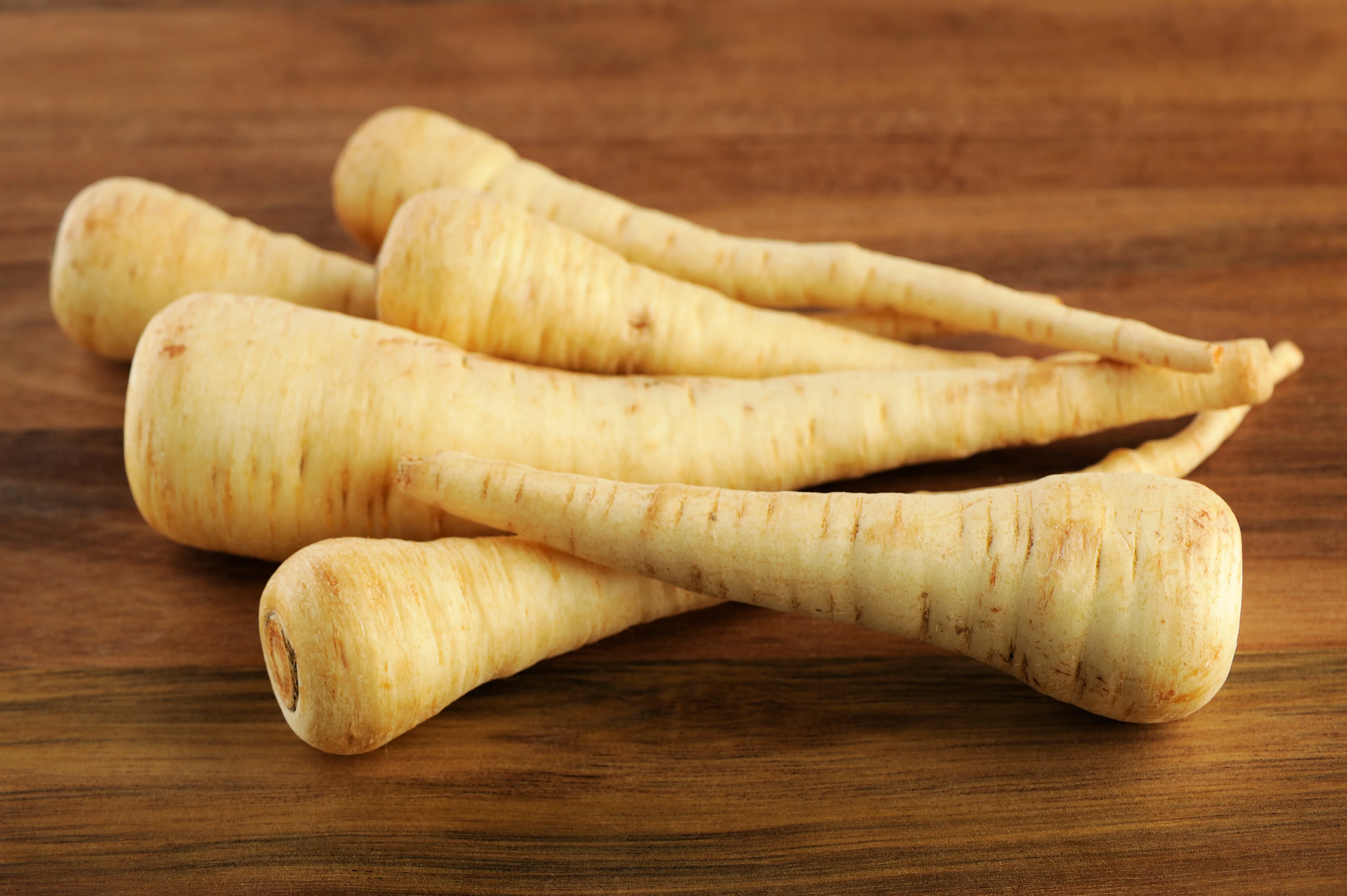 Hollow Crown Parsnip Seeds - Image 2