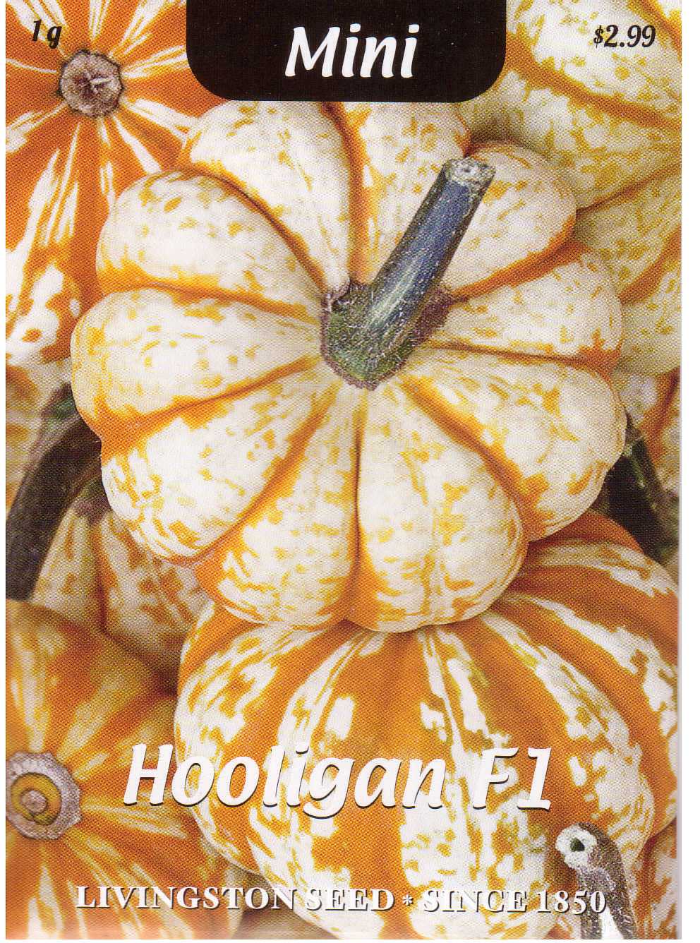 Hooligan F1 Pumpkin
