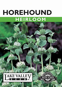 Horehound