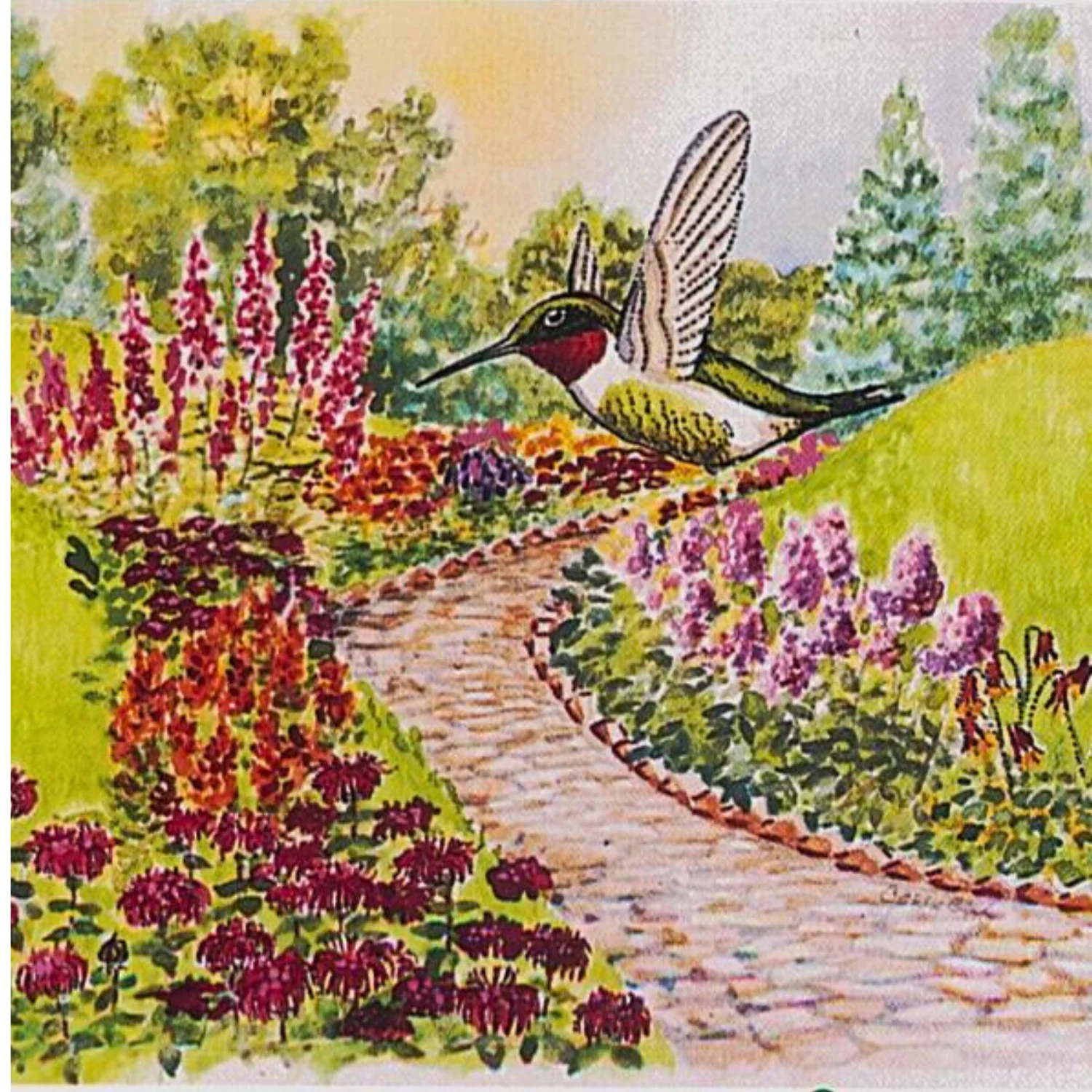 Hummingbird Garden Mix Seeds