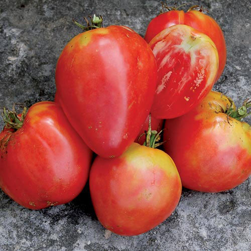Hungarian Heart Tomato