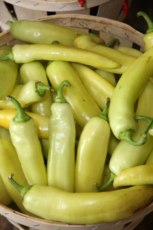 Hungarian Yellow Hot Wax Pepper Seeds - Image 2