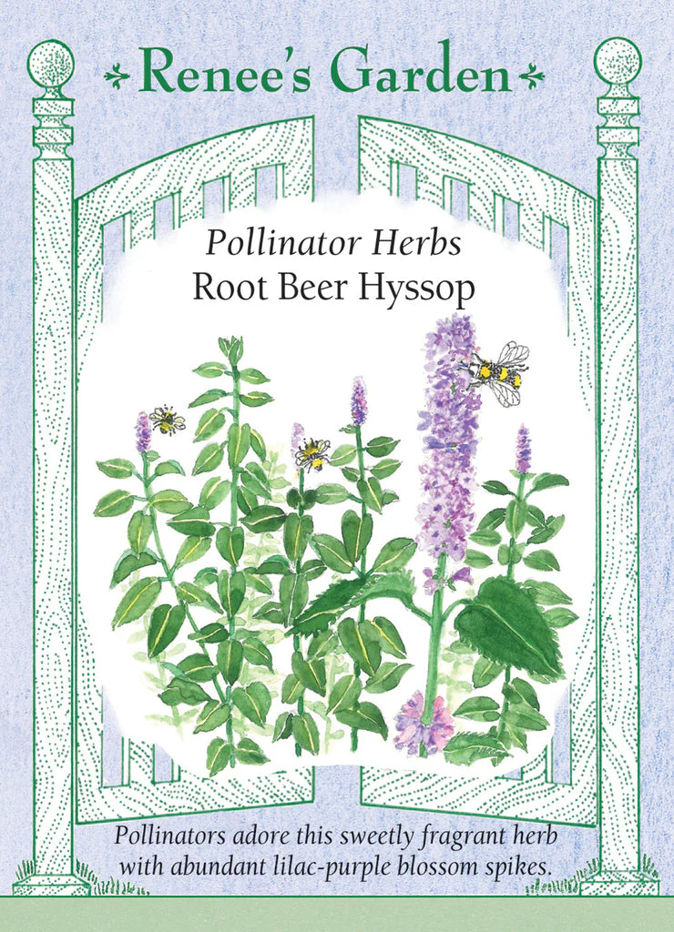 Hyssop Rootbeer Scented