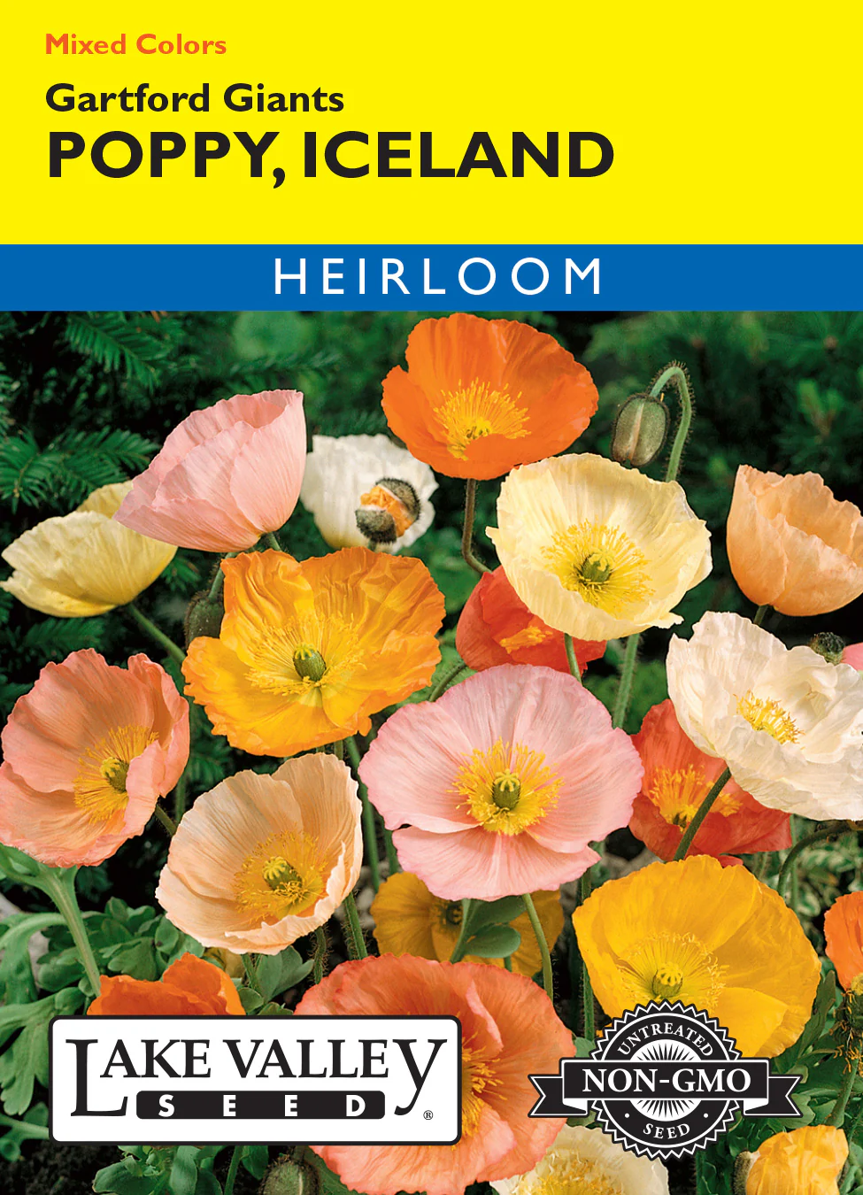 Gartfords Giants Iceland Mixed Poppy