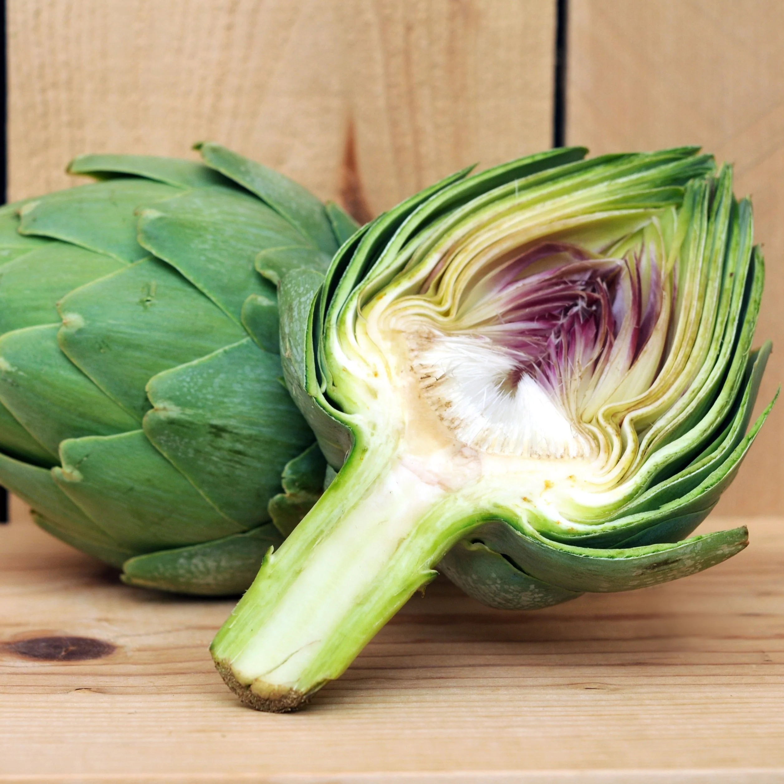 Imperial Star Artichoke Seeds