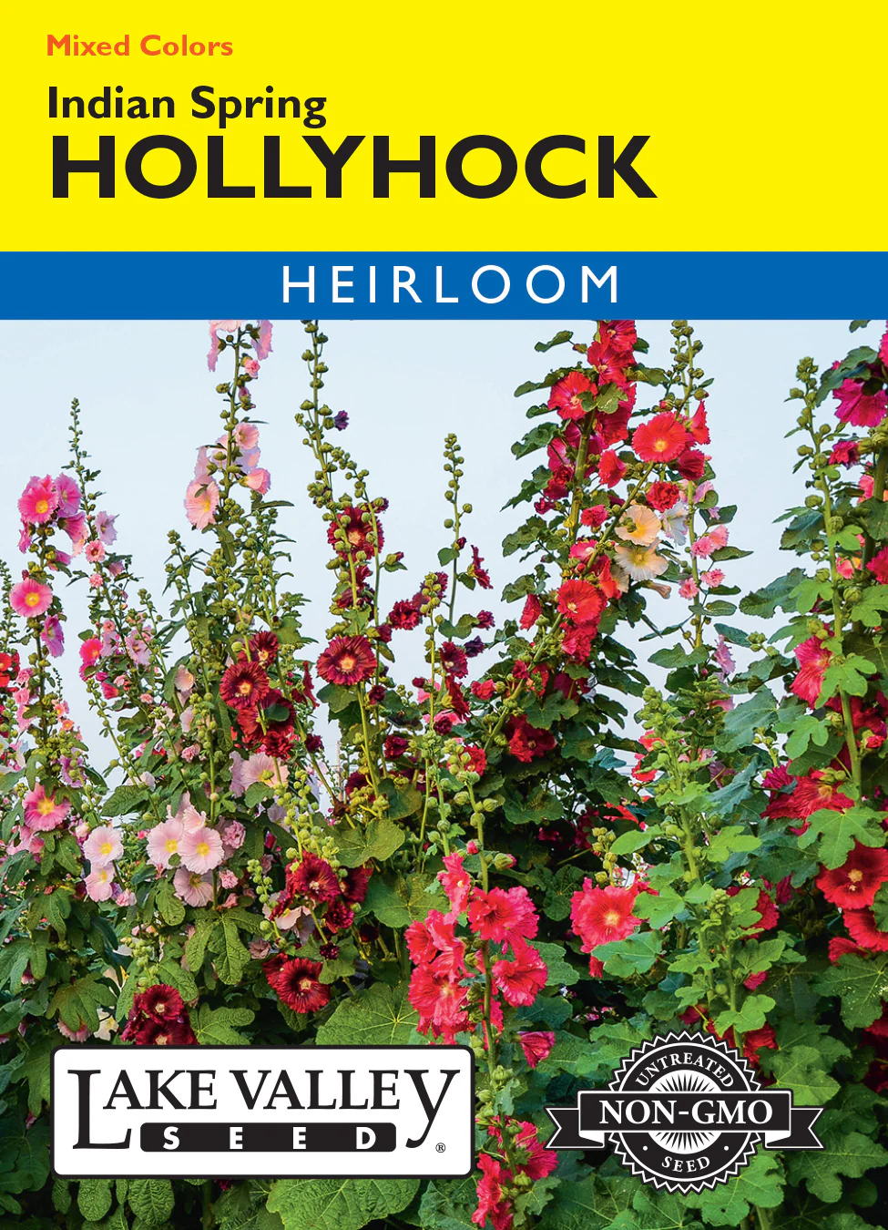 Indian Spring Mix Hollyhock
