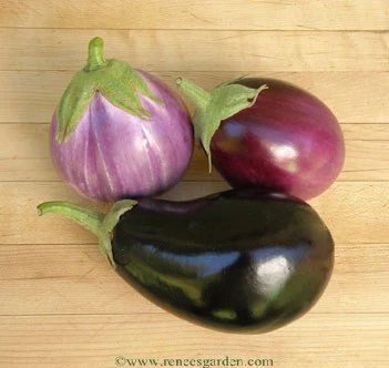 Italian Trio Eggplant