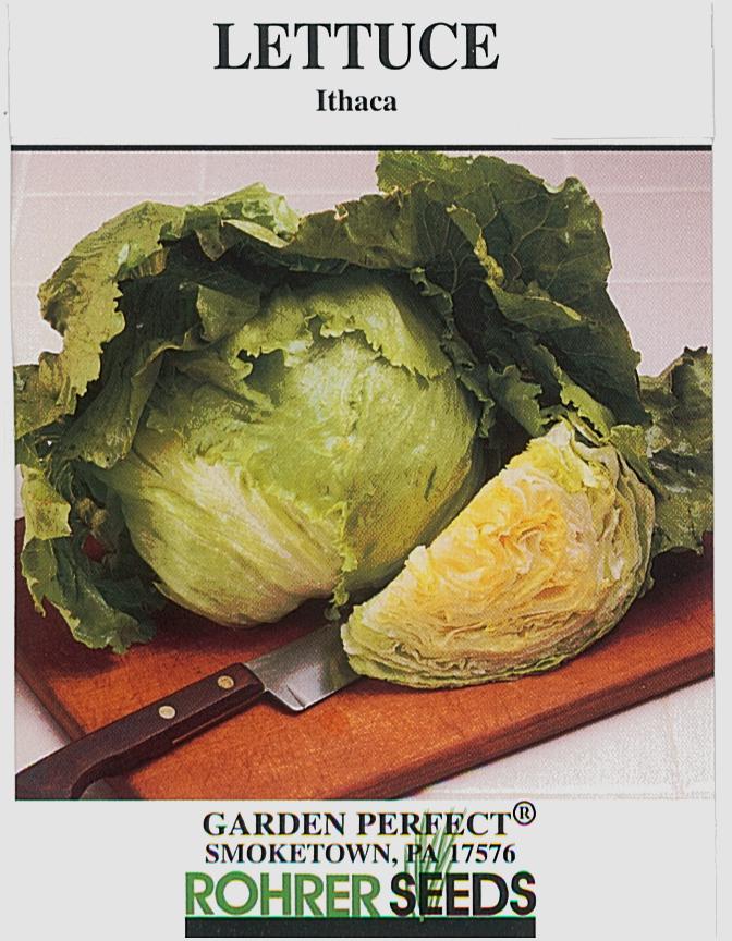 Ithaca Mto Lettuce Seeds