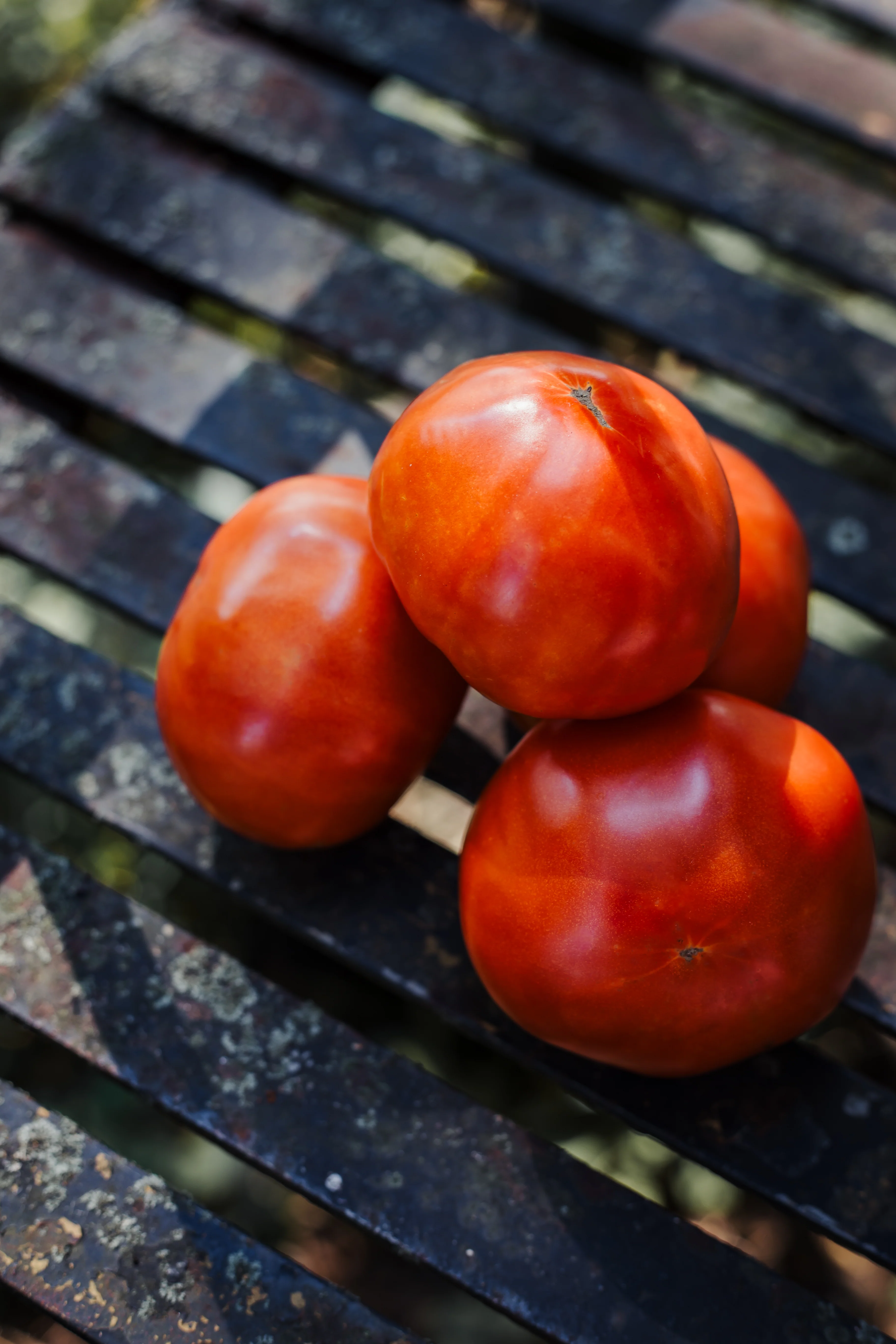 Jet Star Hybrid Tomato - Image 2