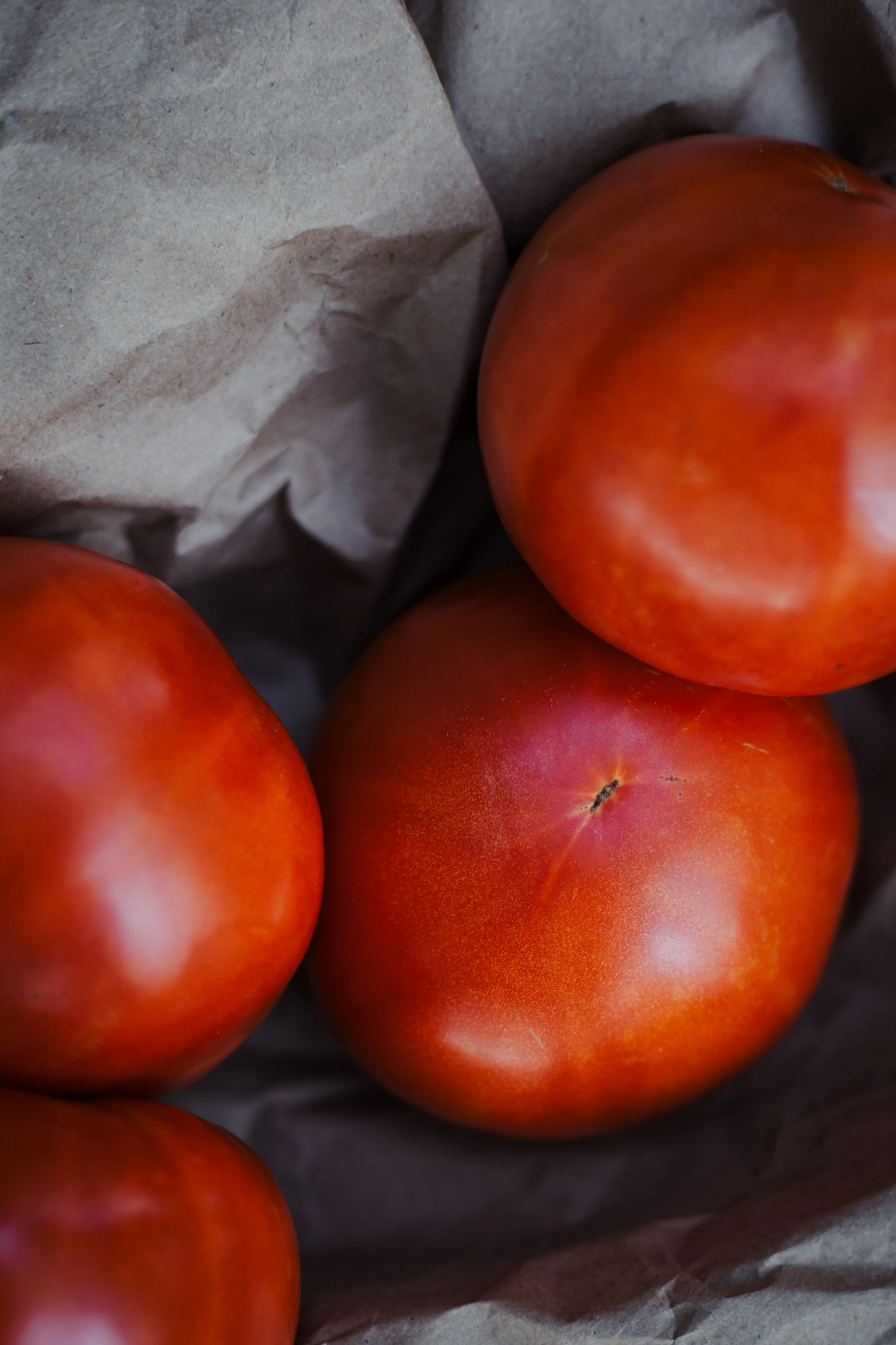 Jet Star Hybrid Tomato - Image 4