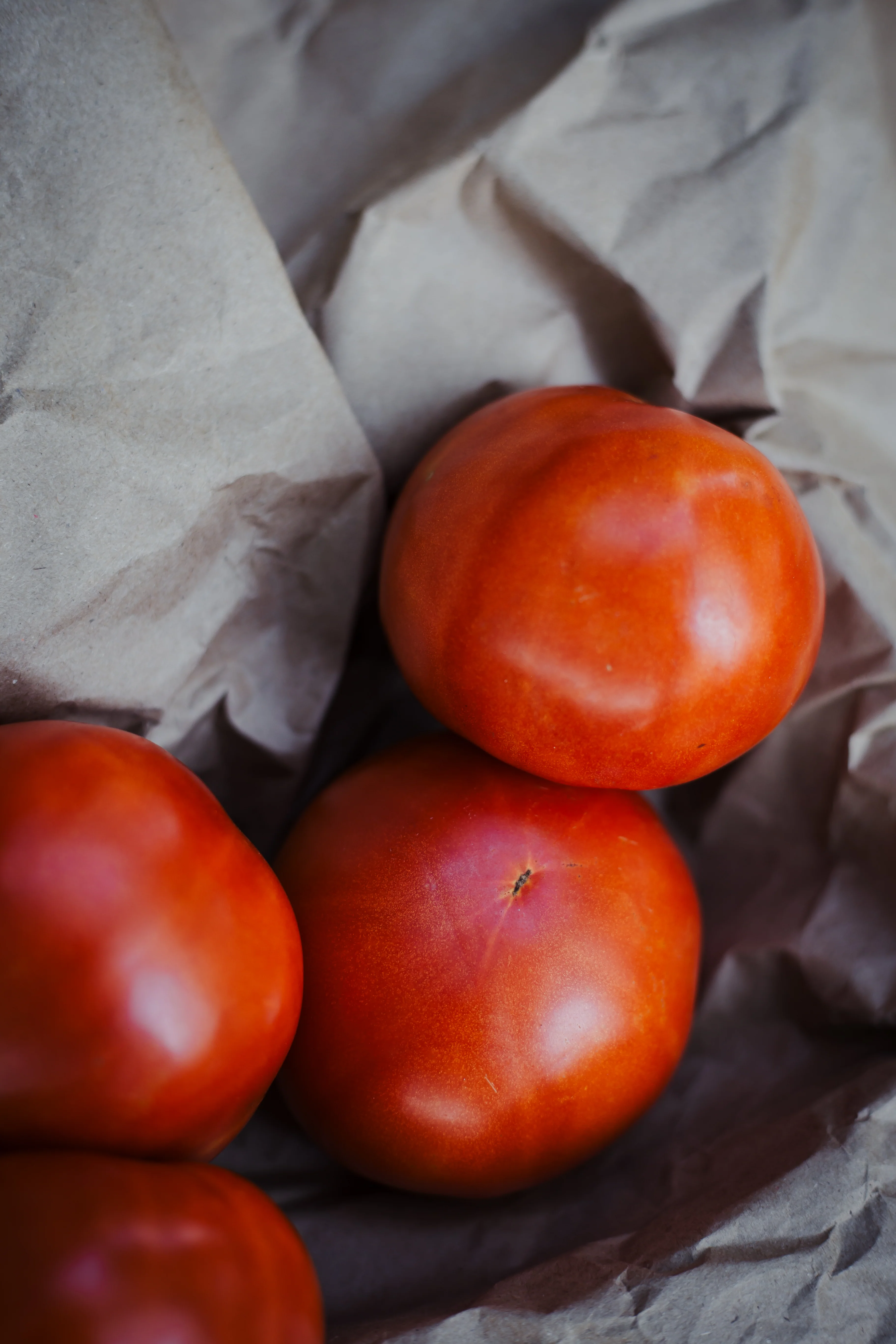 Jet Star Hybrid Tomato - Image 5