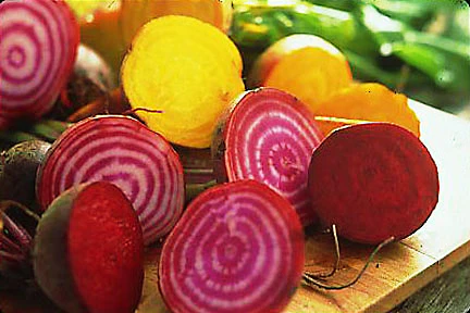 Jewel-toned Beet