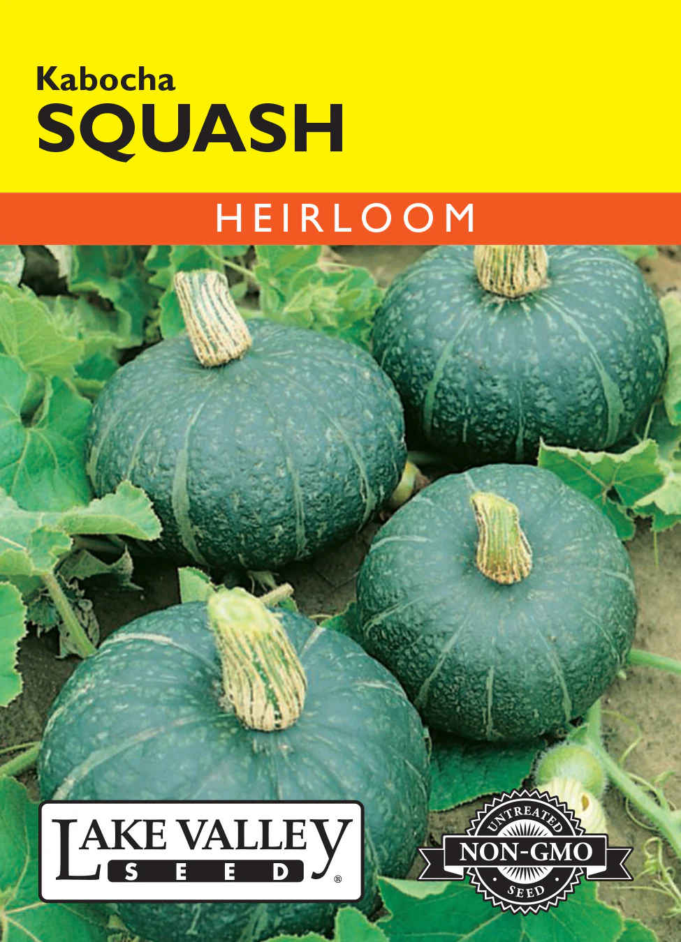 Kabocha Winter Squash