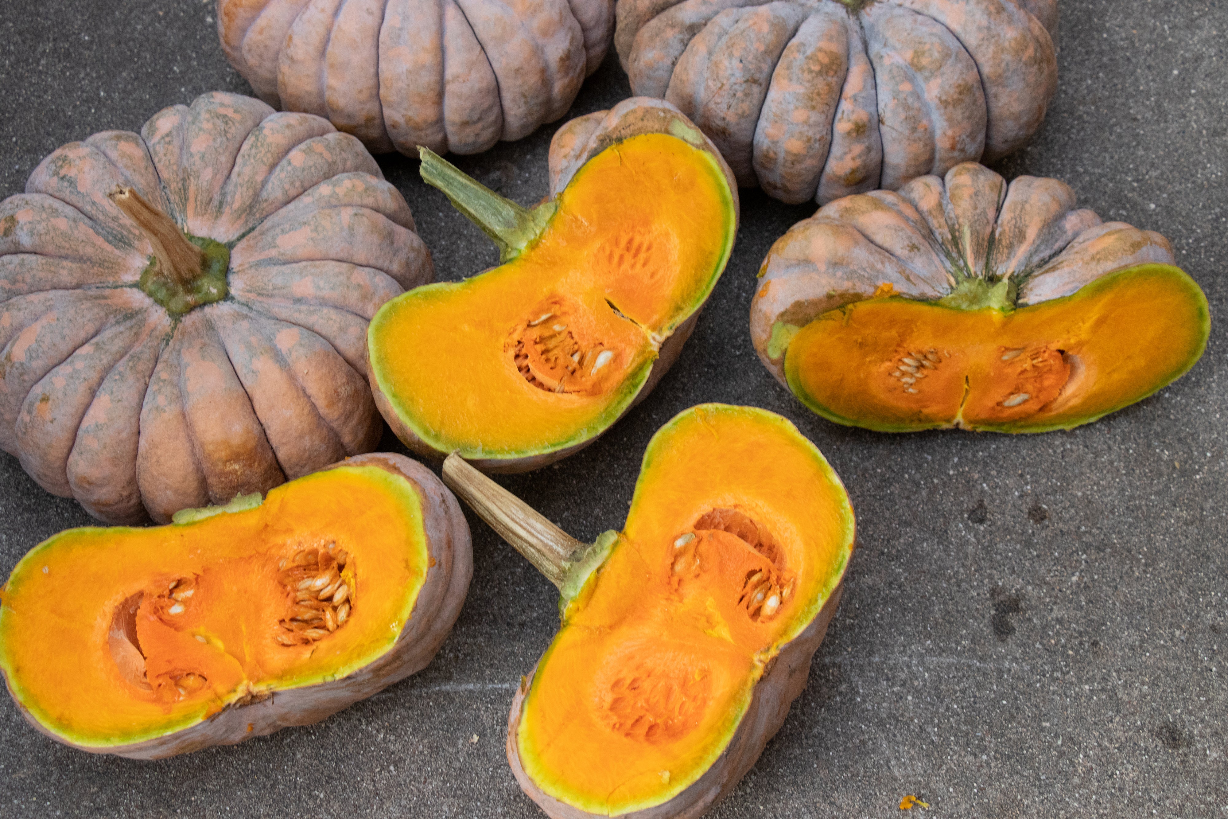 Kai Kai F1 Hybrid Squash Seeds - Image 11