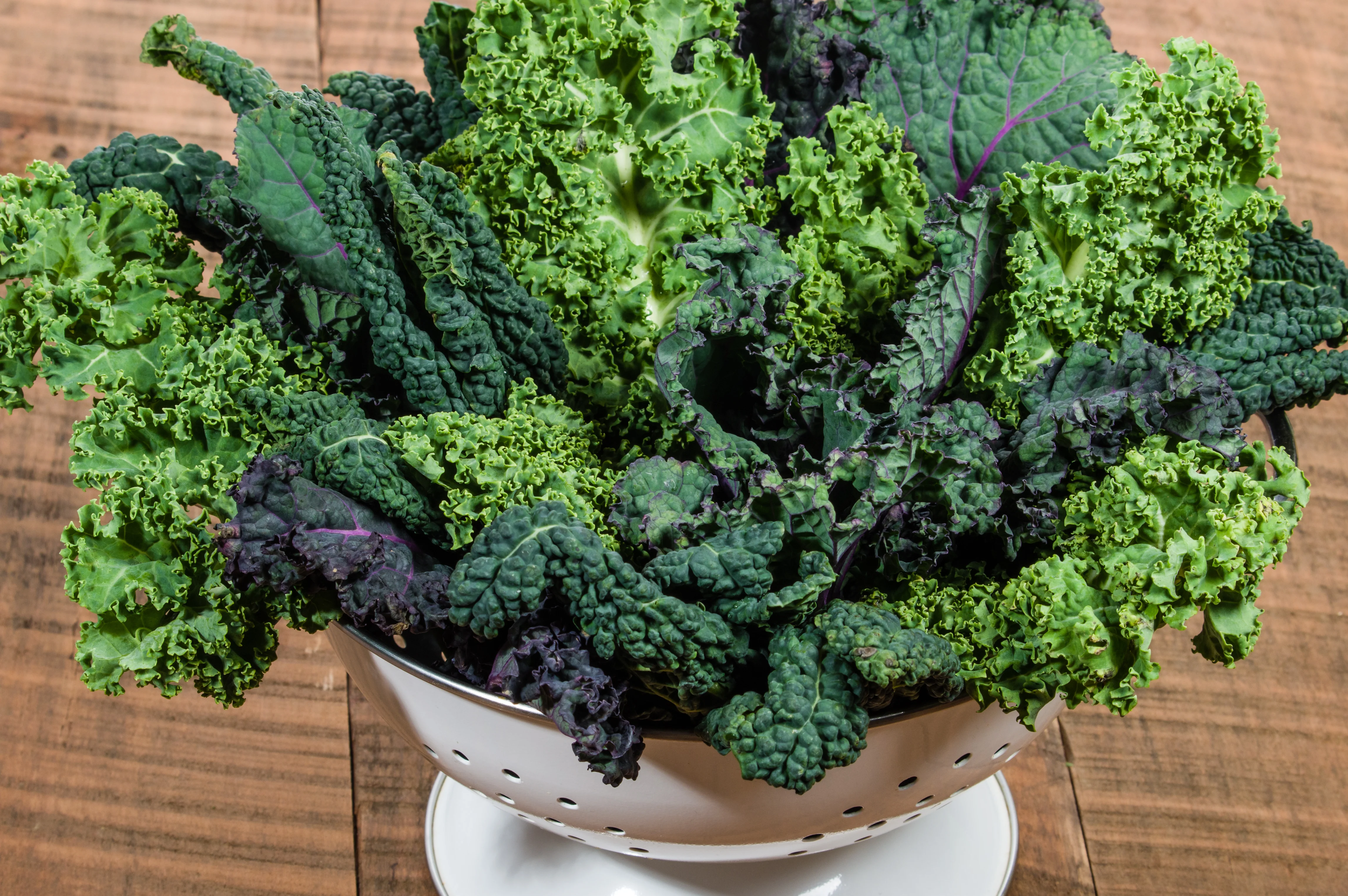Kaleidoscope Mix Kale (800 seeds), Container Collection