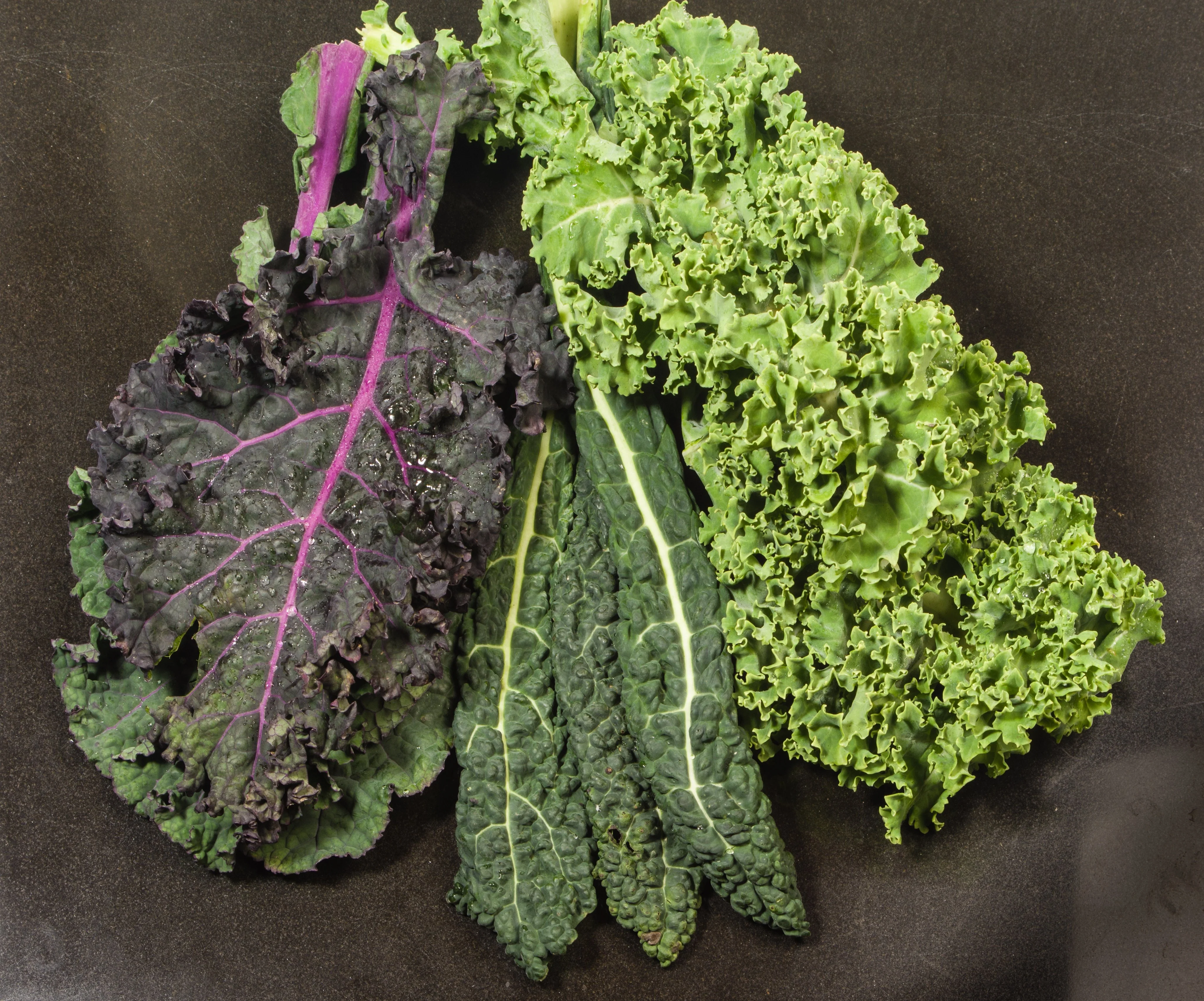 Kaleidoscope Mix Kale (800 seeds), Container Collection - Image 3