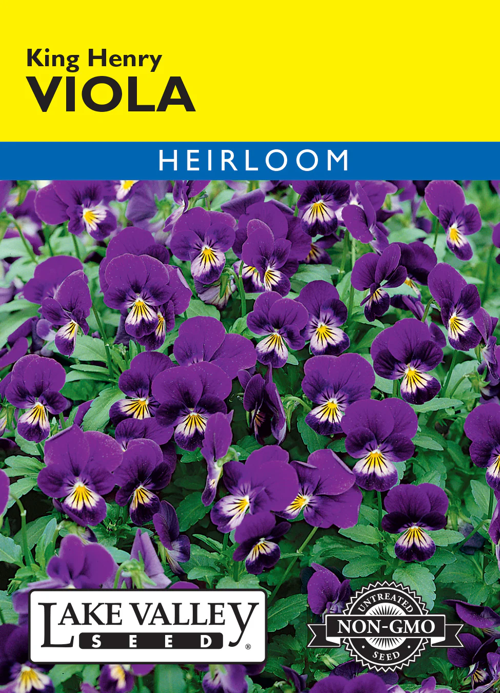 King Henry Viola