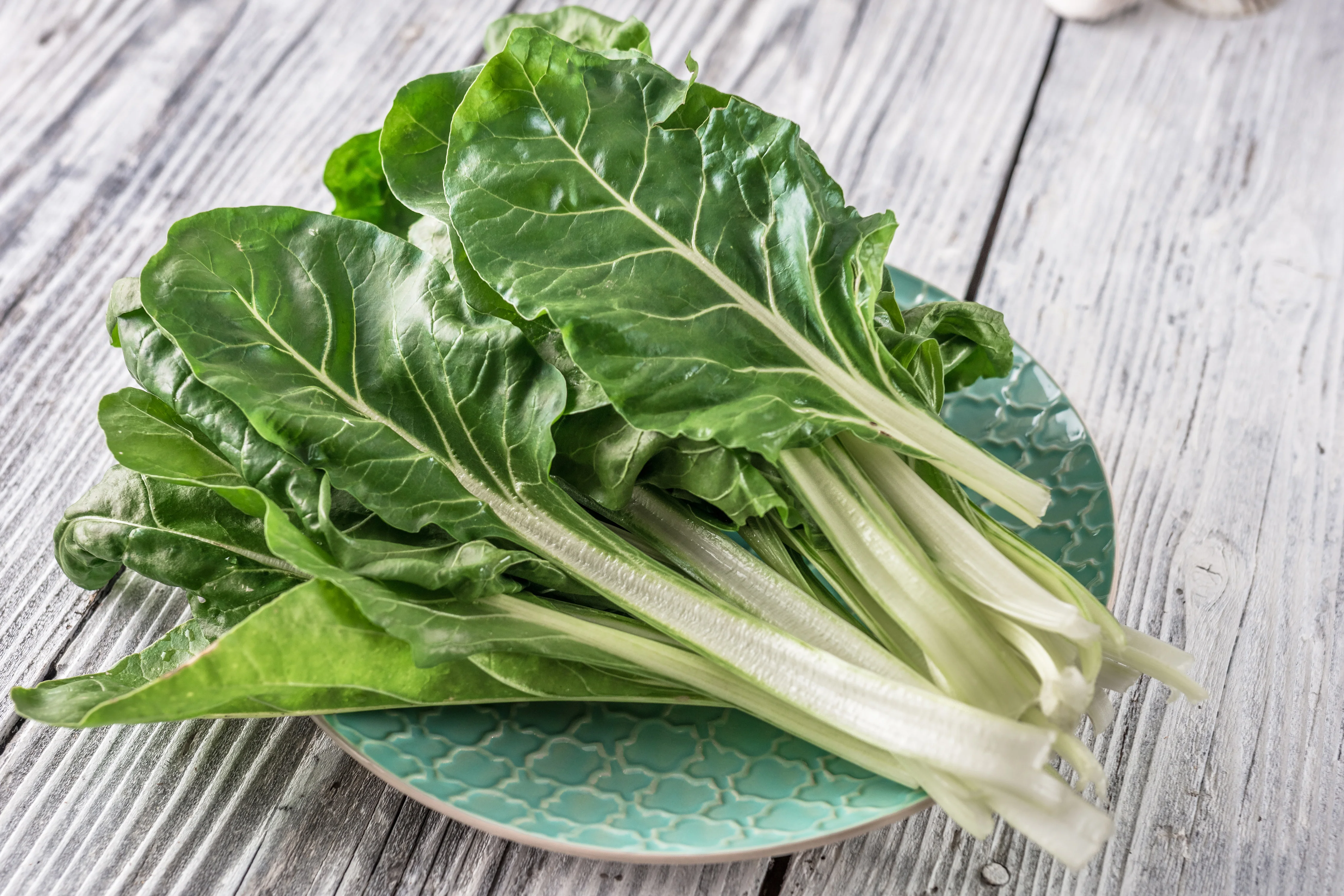 Large Ribbed Swiss Chard Seeds
