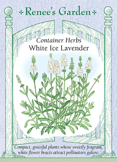 White Ice Lavender - Image 2
