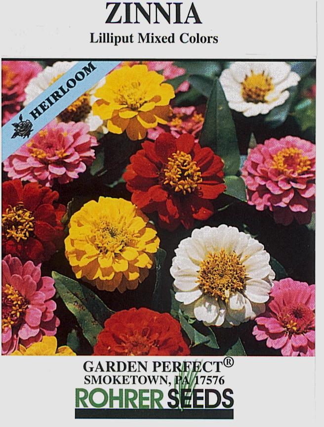 Lilliput Double Zinnia Seed Mix - Image 2