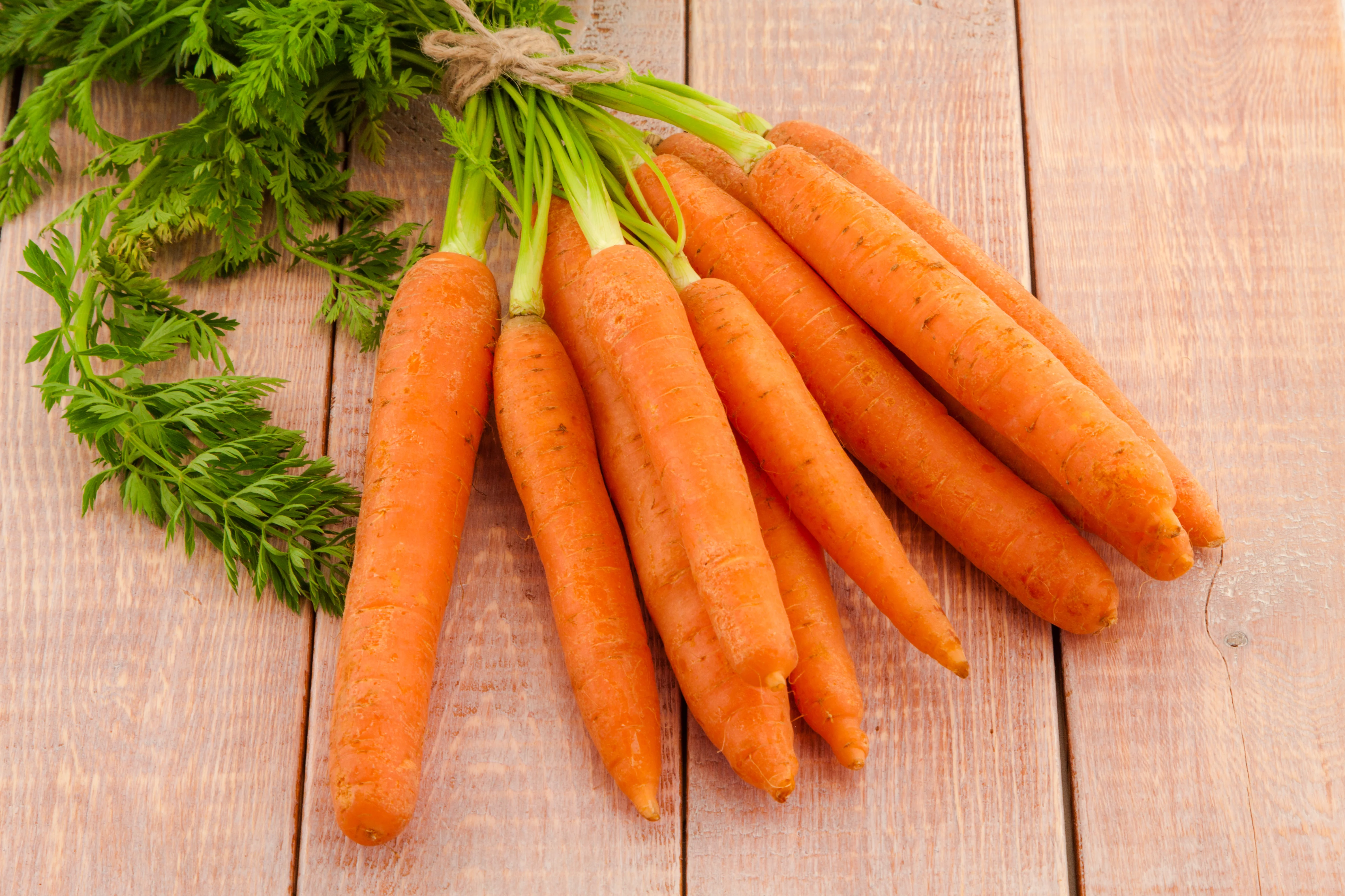 Little Finger Carrot Seeds