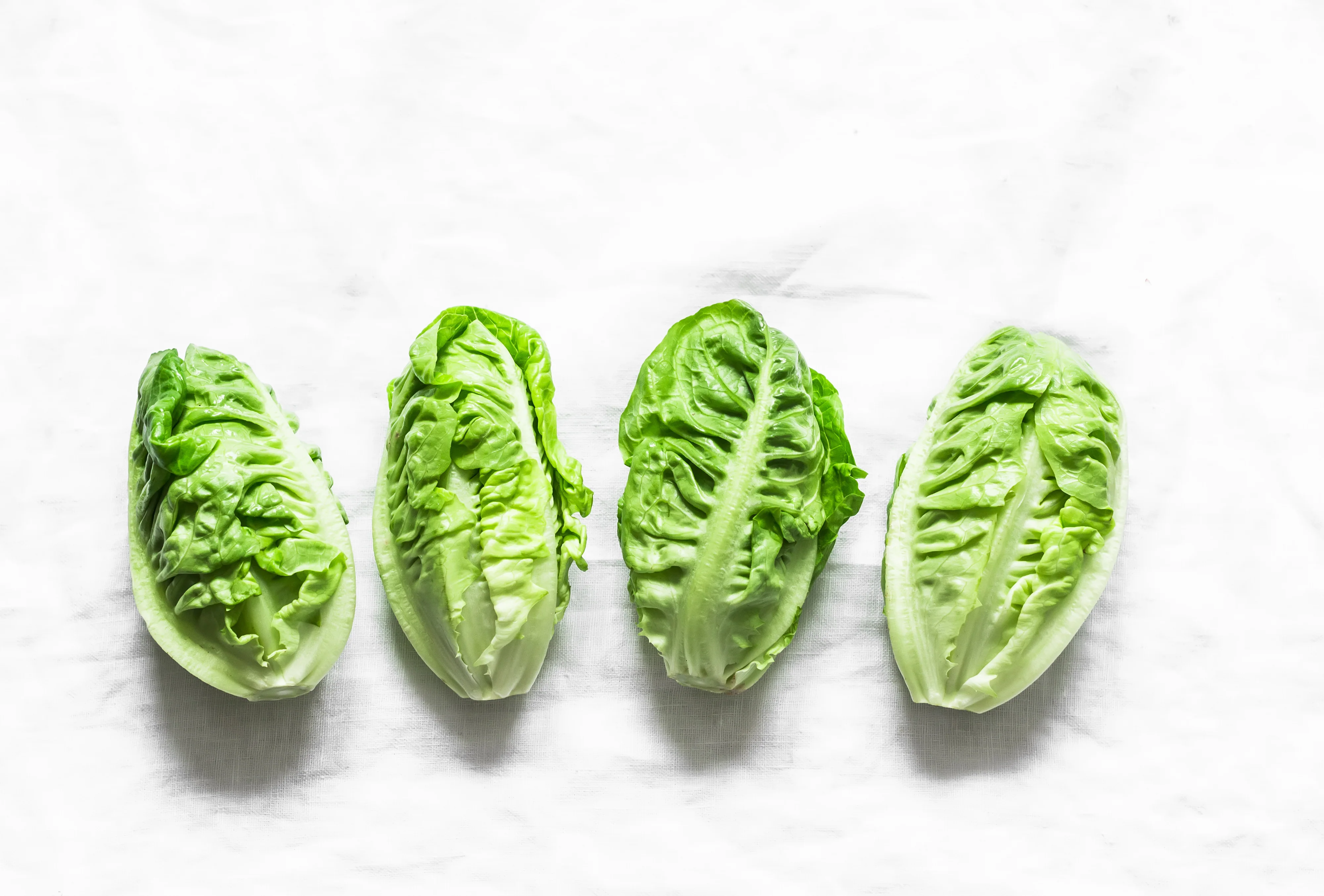 Little Gem Romaine Lettuce Seeds