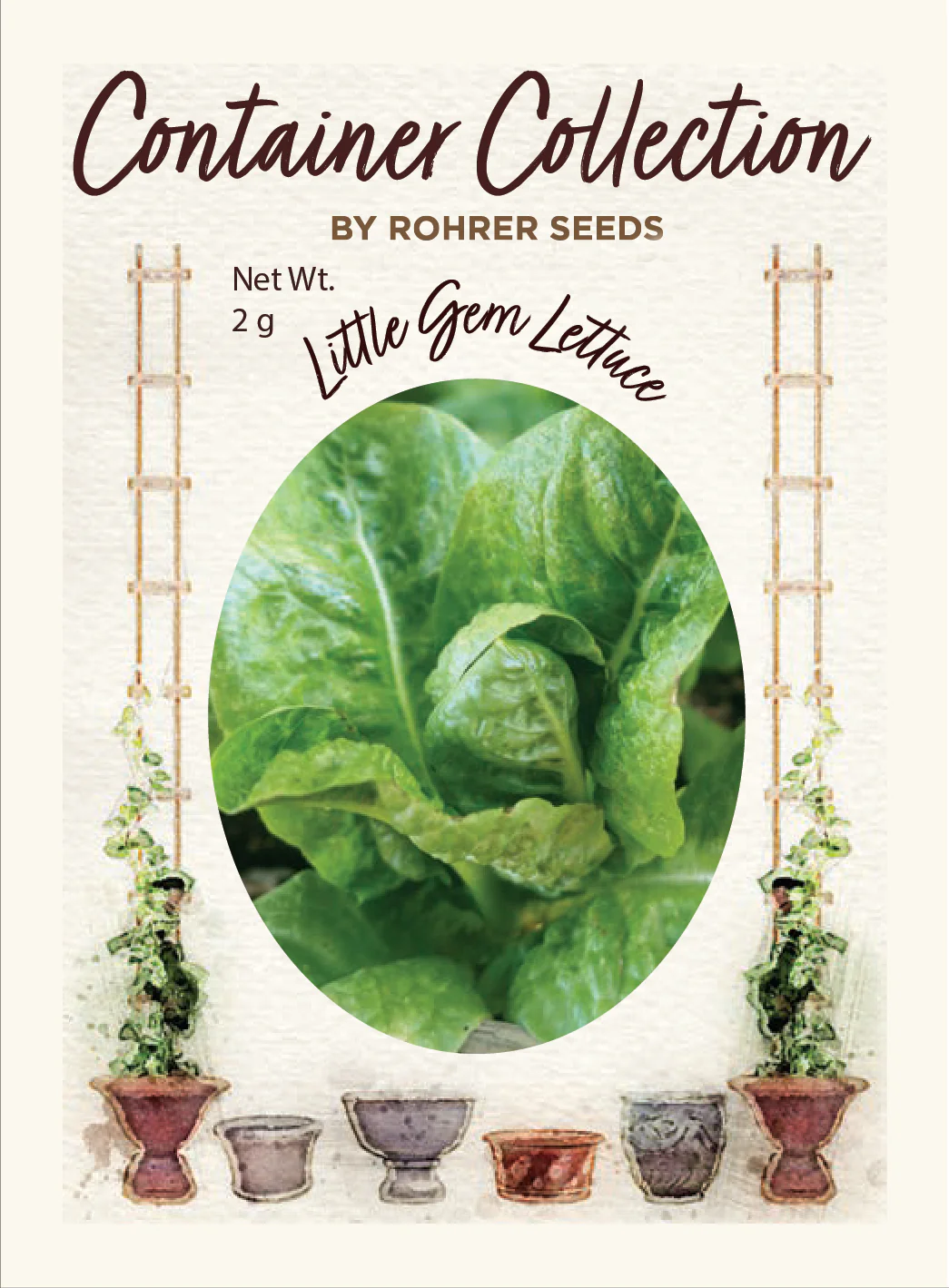 Little Gem Romaine Lettuce (1,500 seeds), Container Collection - Image 2