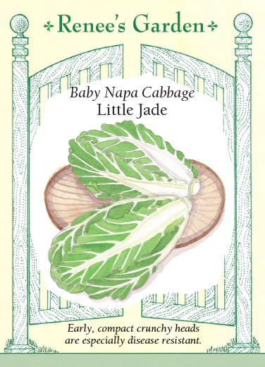 Little Jade Baby Napa Cabbage - Image 2