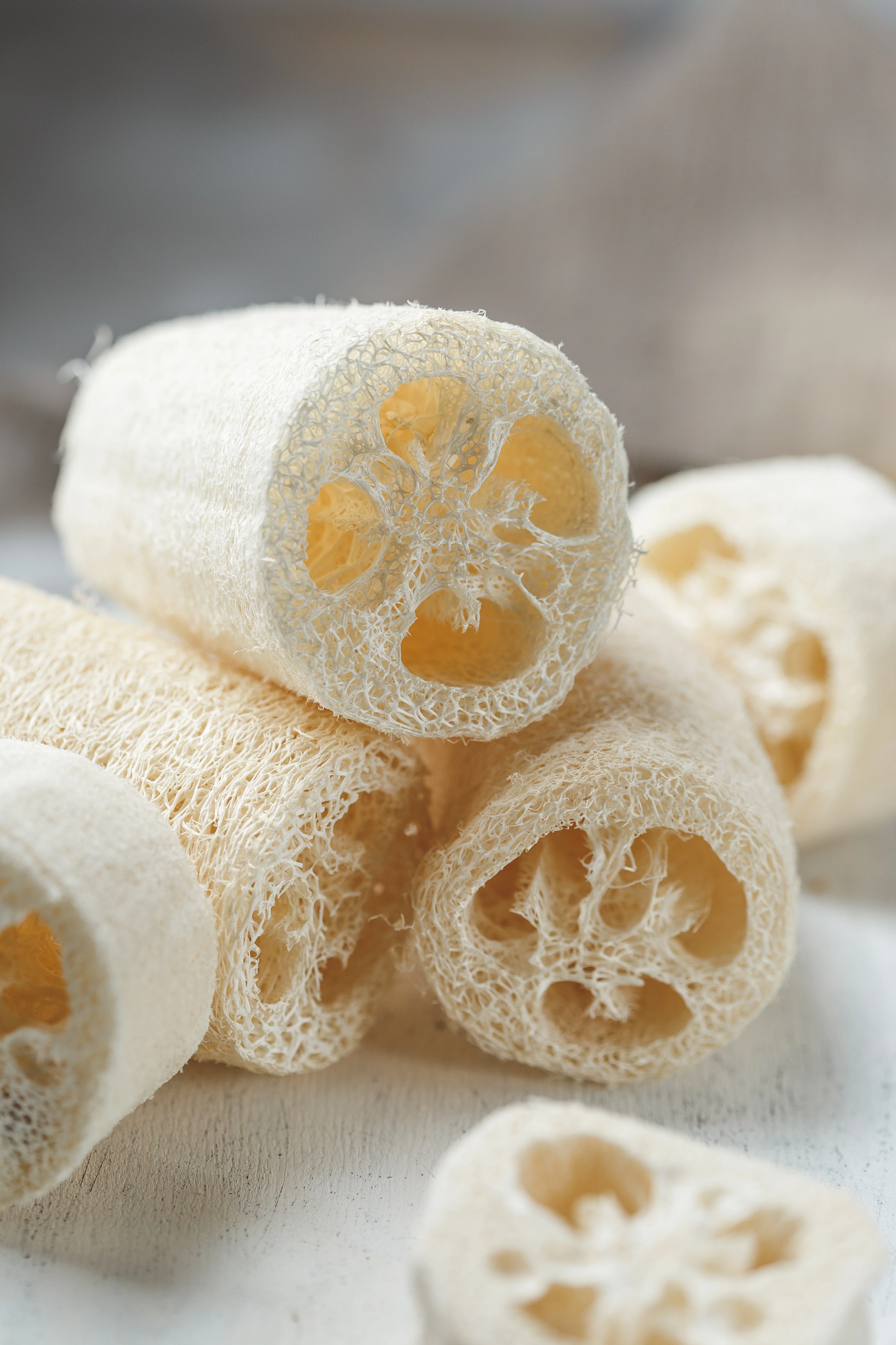 Luffa Gourd Seeds