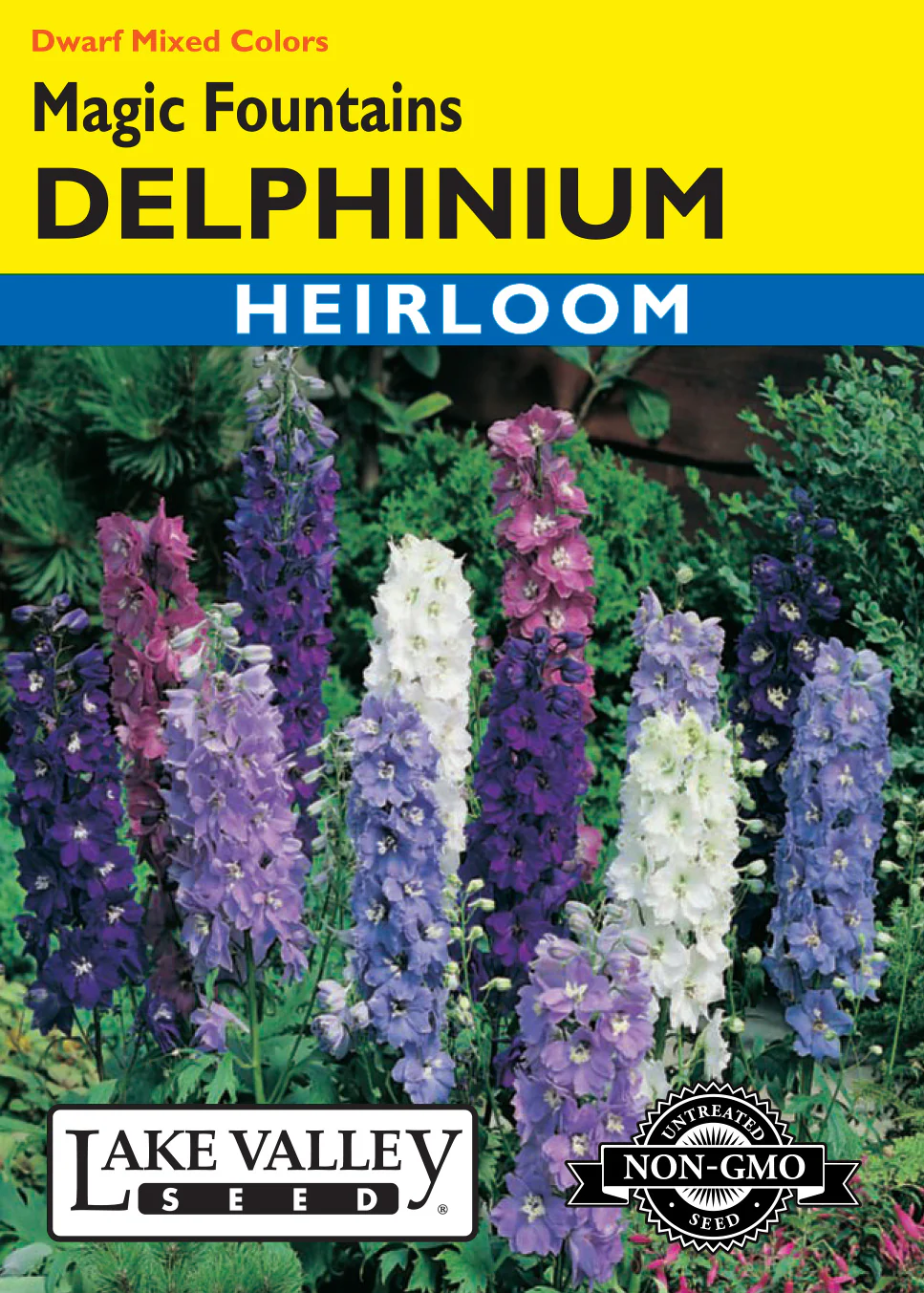 Magic Fountains Delphinium - Mixed Colors