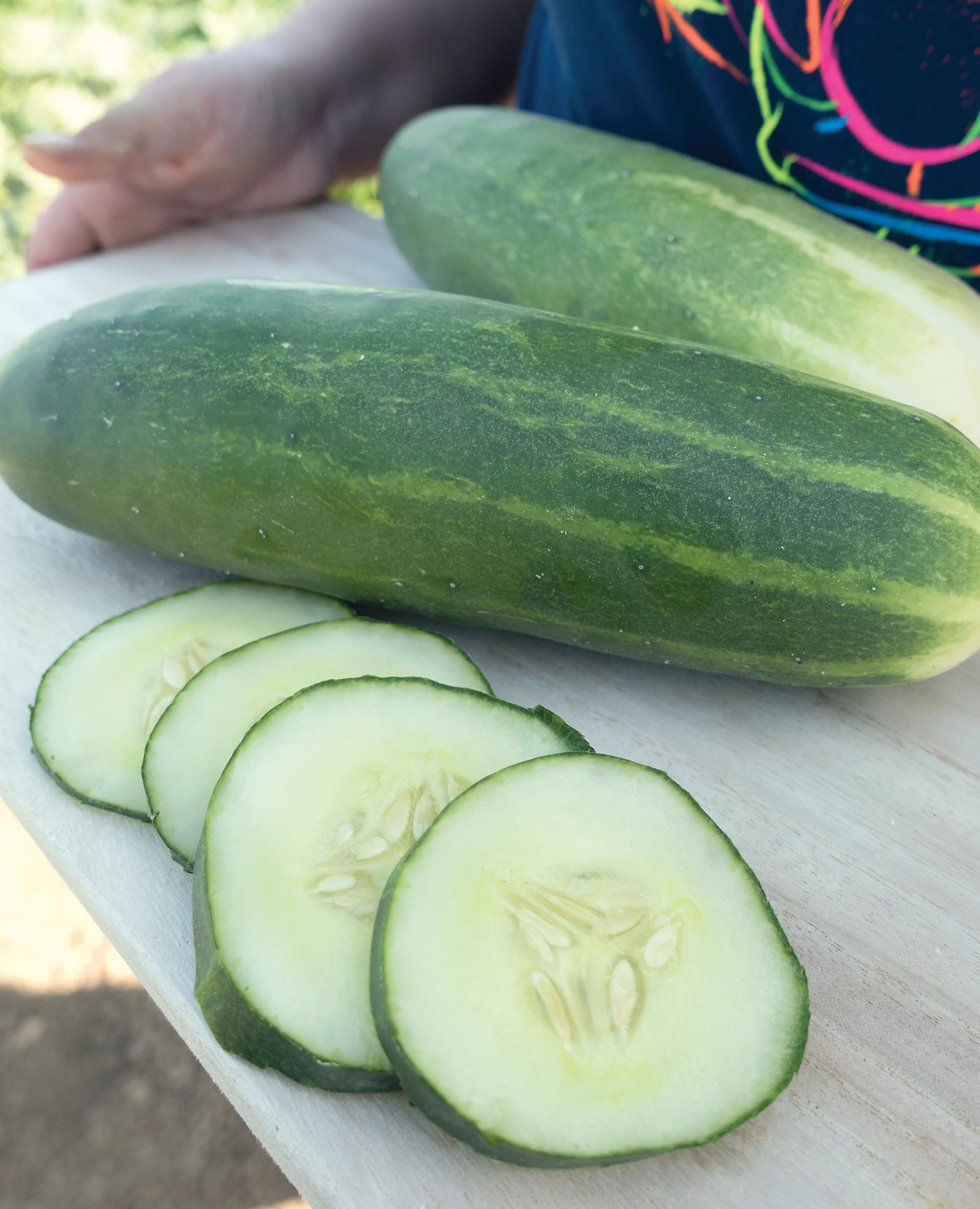 Marketmore 76 Cucumber Seeds