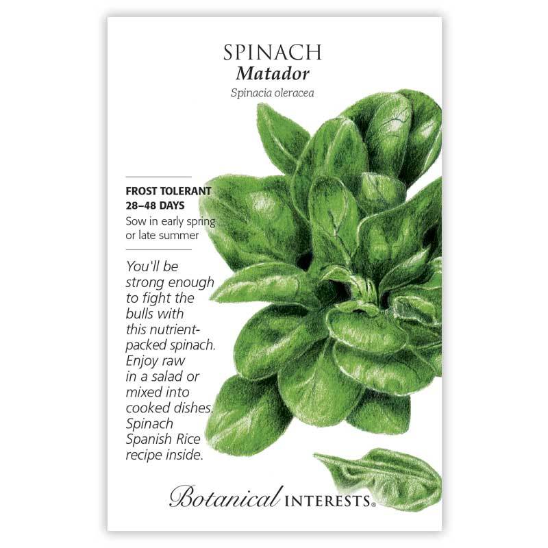 Matador Spinach