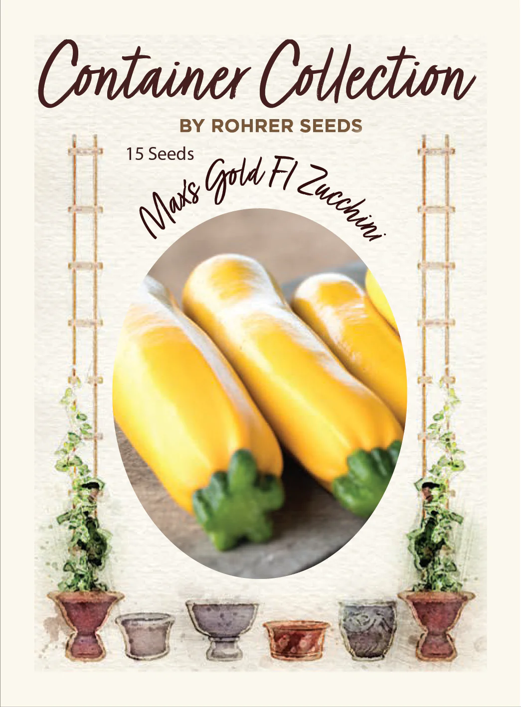 Max's Gold F1 Hybrid Summer Squash (15 seeds), Container Collection - Image 2