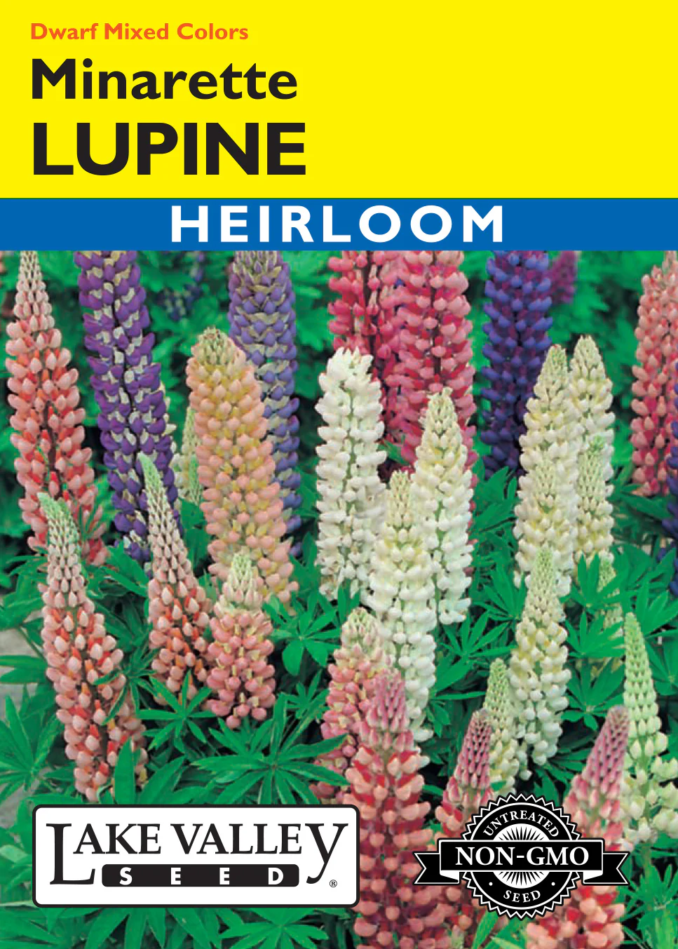 Minarette Lupine Mixed Colors