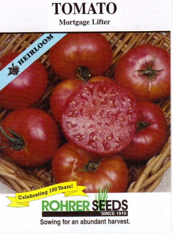 Mortgage Lifter Tomato Seeds - Image 2