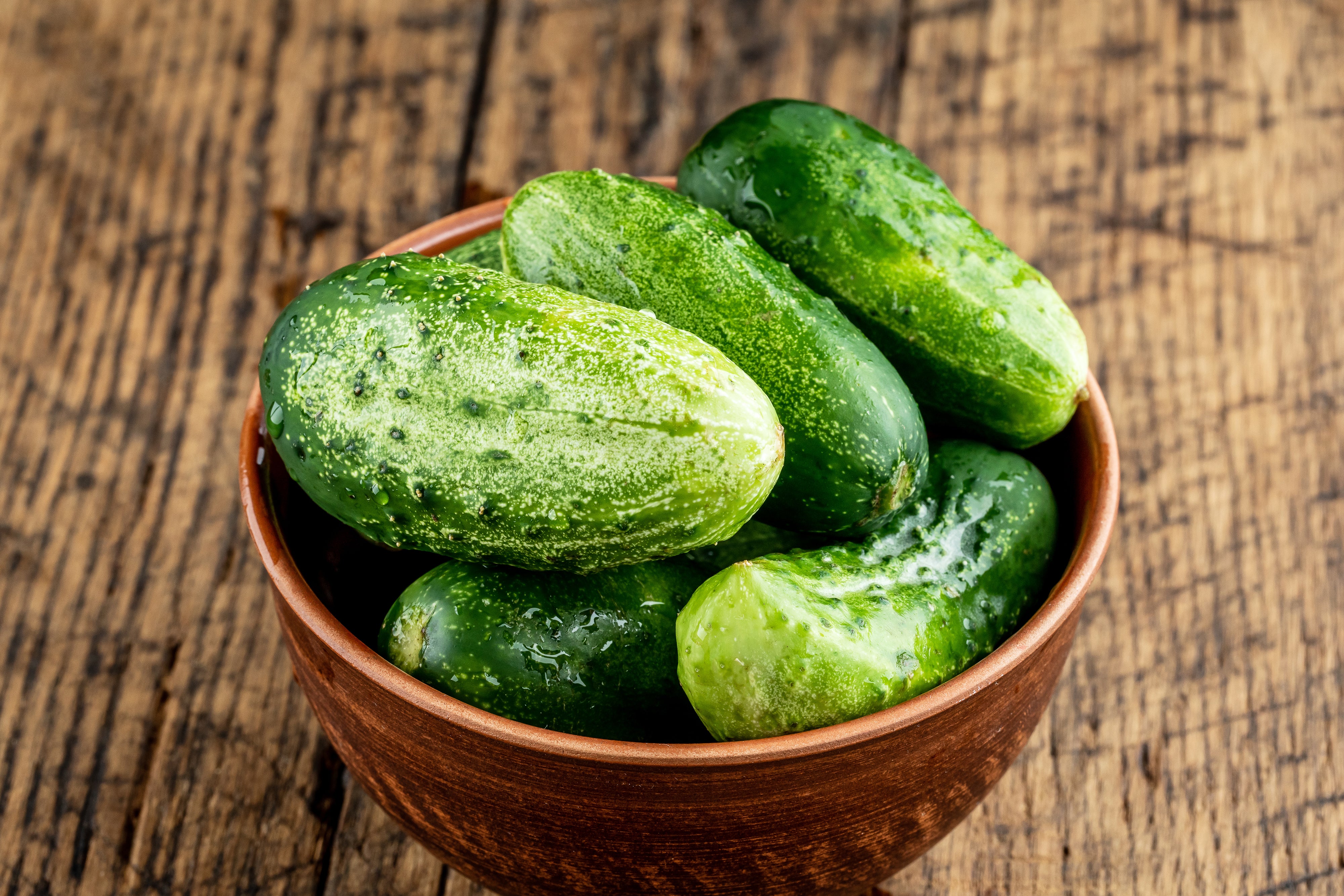National Pickling Cucumber Seeds
