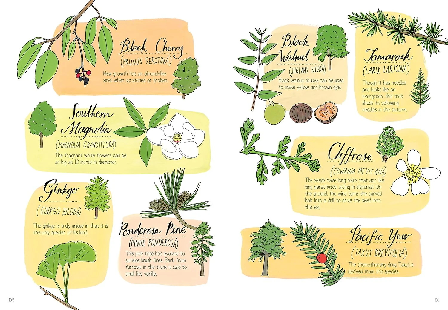 Nature Anatomy By Julia Rothman - Image 6