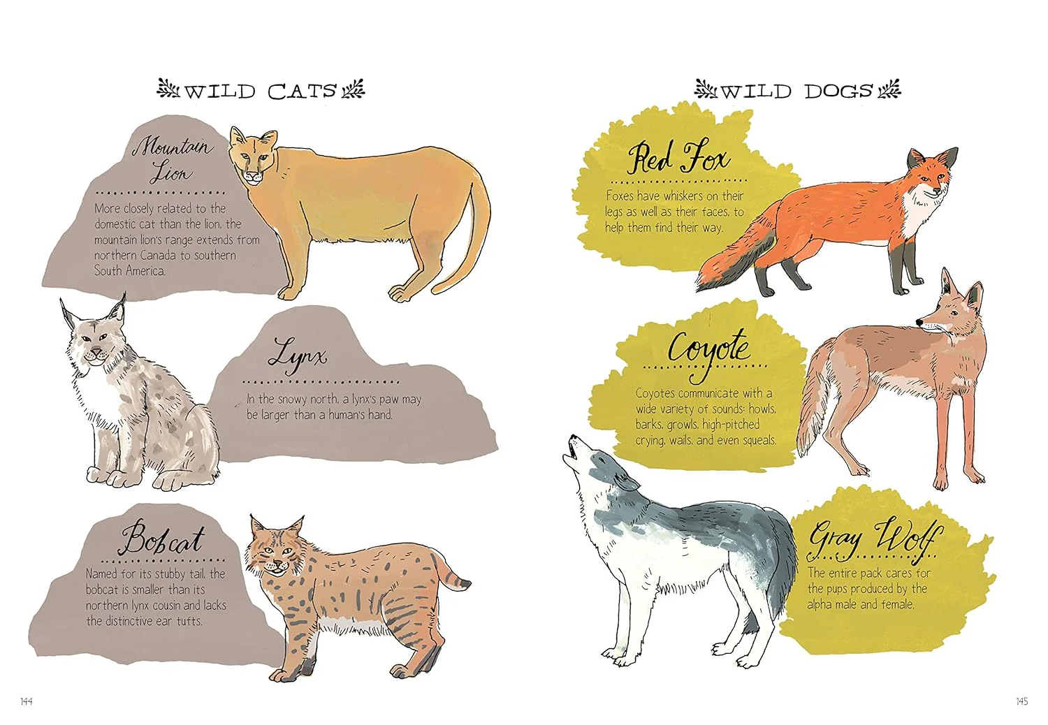 Nature Anatomy By Julia Rothman - Image 7