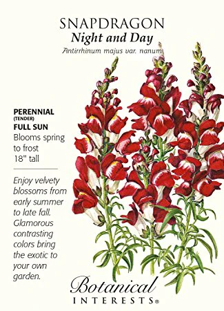Night And Day Snapdragon