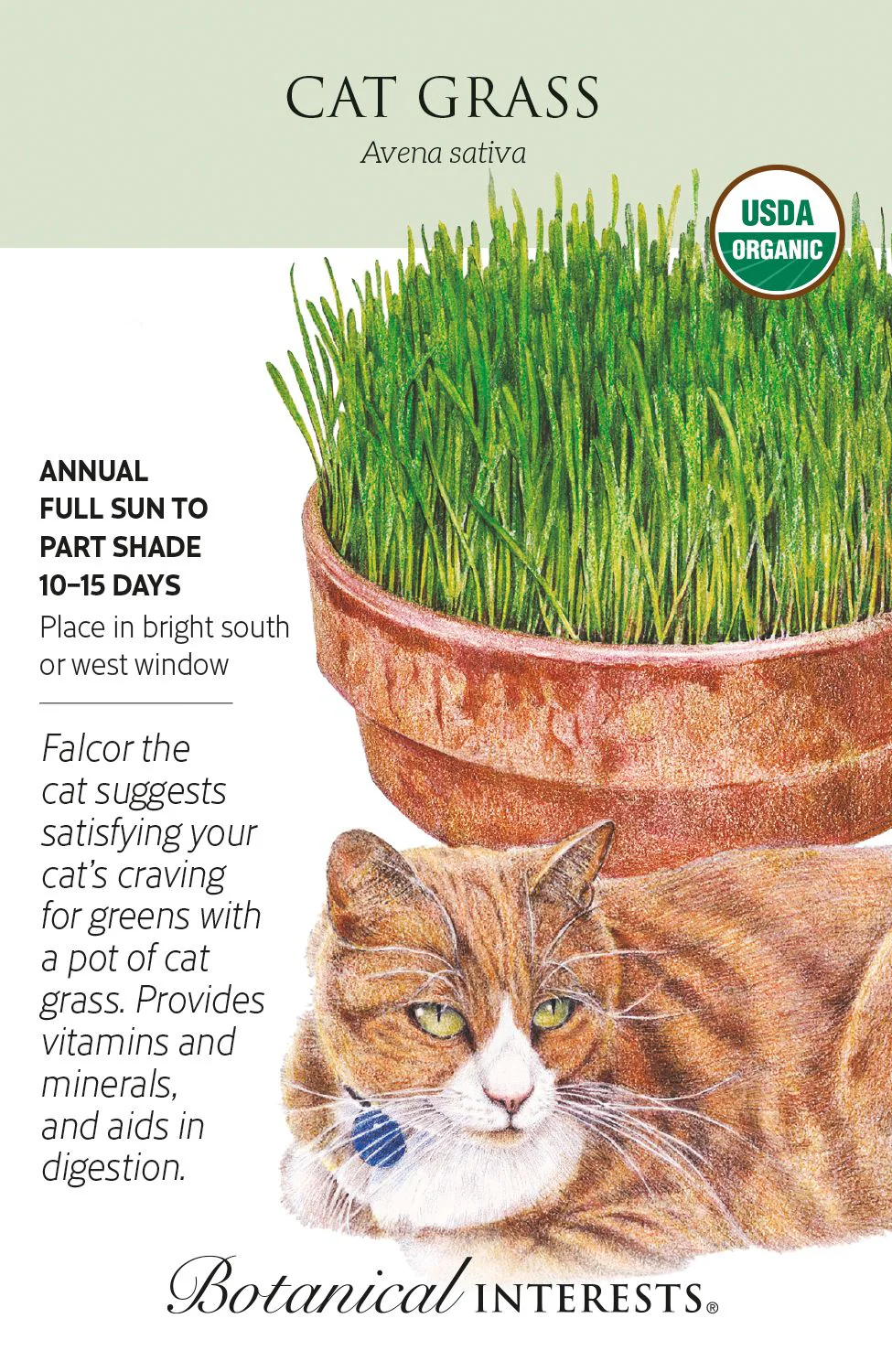 Organic Cat Grass Oats (1,200 Seed Packet)