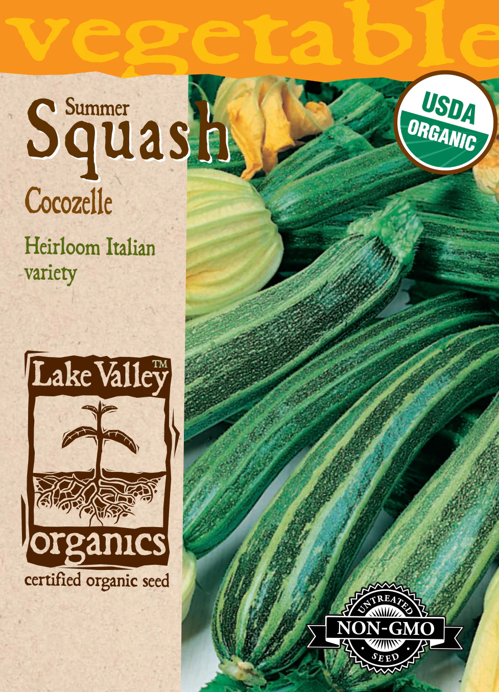 Organic Cocozelle Summer Squash