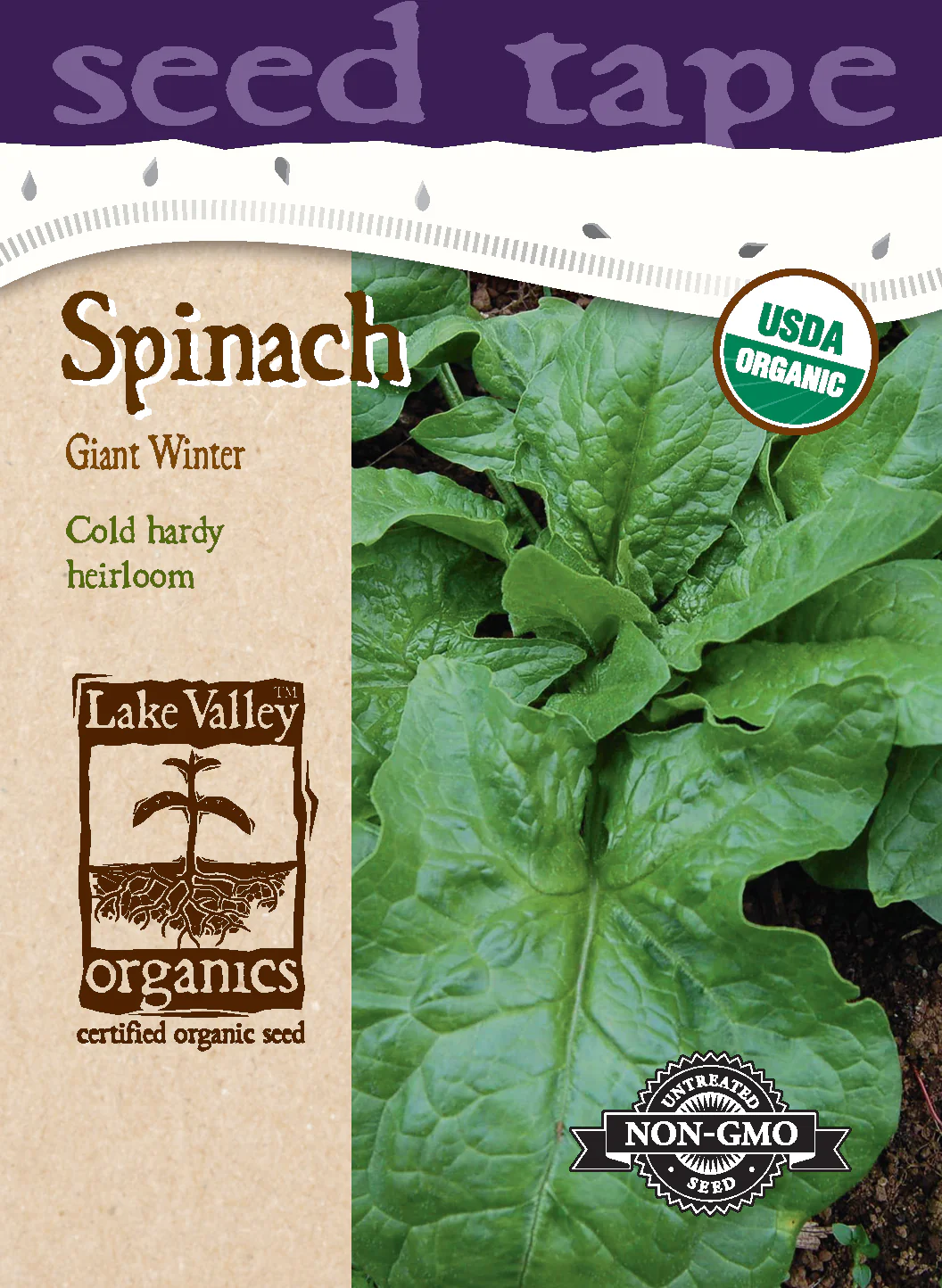 Organic Giant Winter Spinach - 6' Seed Tape