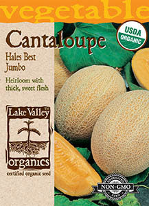 Organic Hales Best Jumbo Cantaloupe