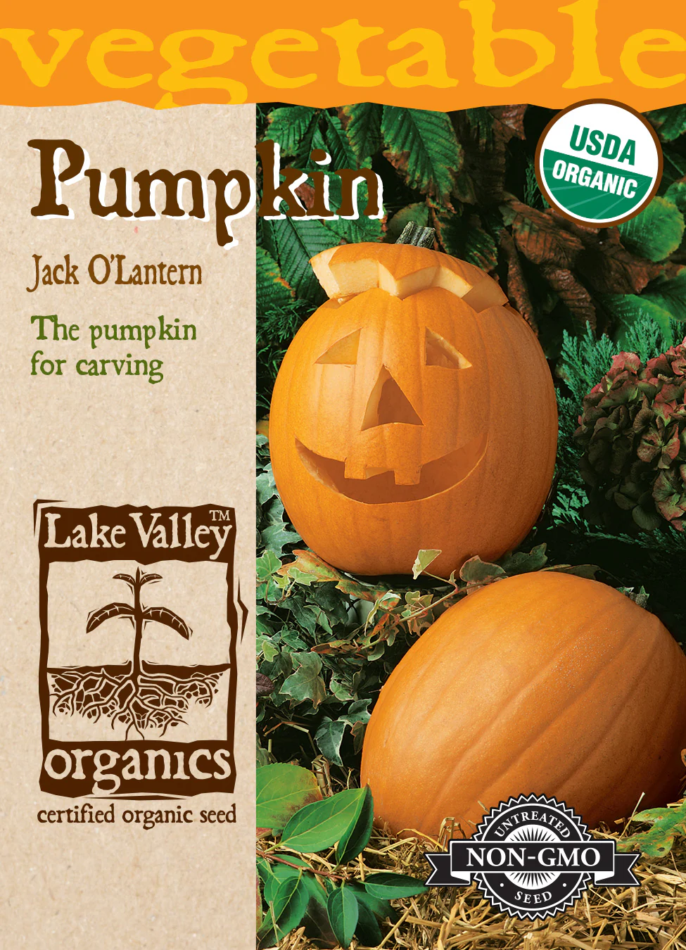 Organic Jack O'Lantern Pumpkin